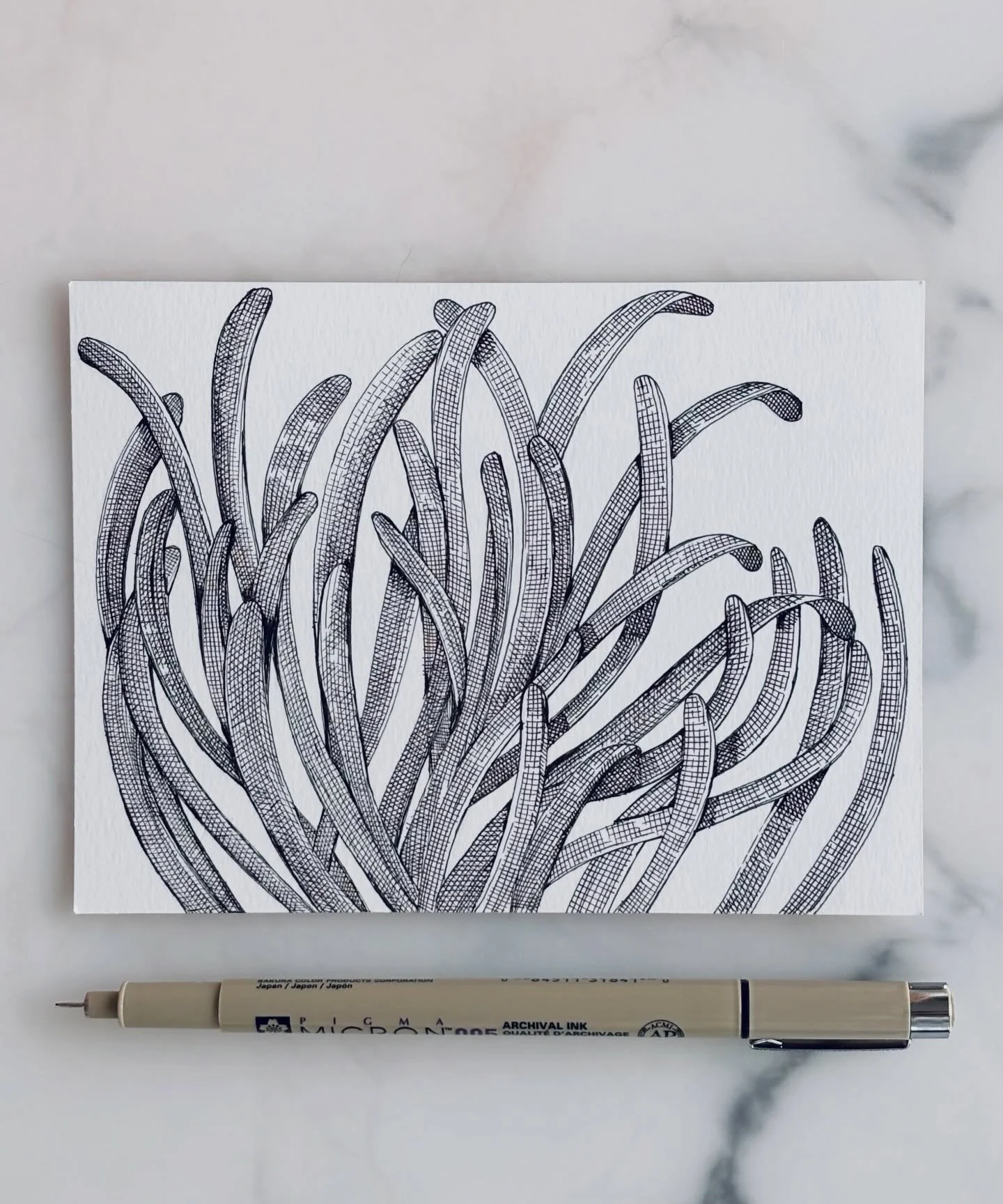 I actually thought this was a blue ink when I realized it was black half way through the drawing last night. Maybe it&rsquo;s time to start a black ink series. #inkdrawing #crosshatching