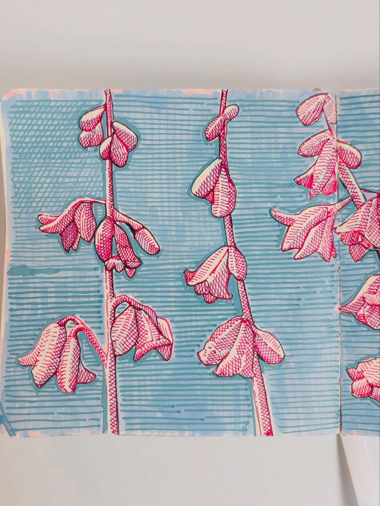 The stems really are pink 💕

#sketchbookdrawing