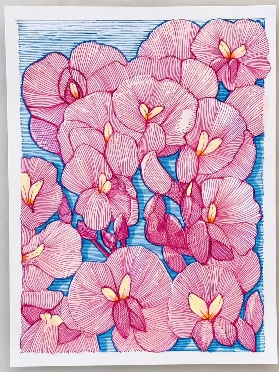 🌸29th day of the 100 day project. Drawings with pink and/or blue #linedrawings #inkdrawings #pendrawings