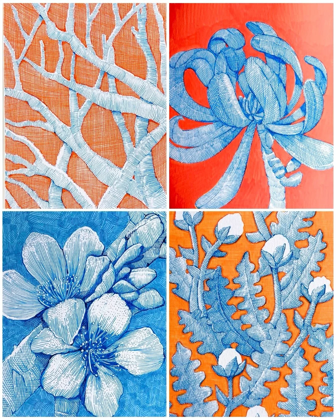 Nature Lab #linedrawings