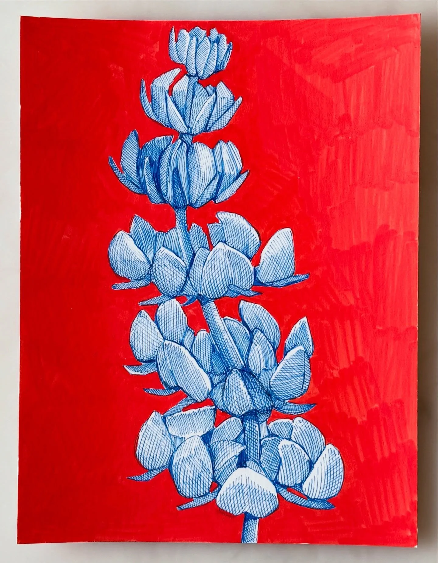 Lupin studies #flowerdrawing #californiawildflowers