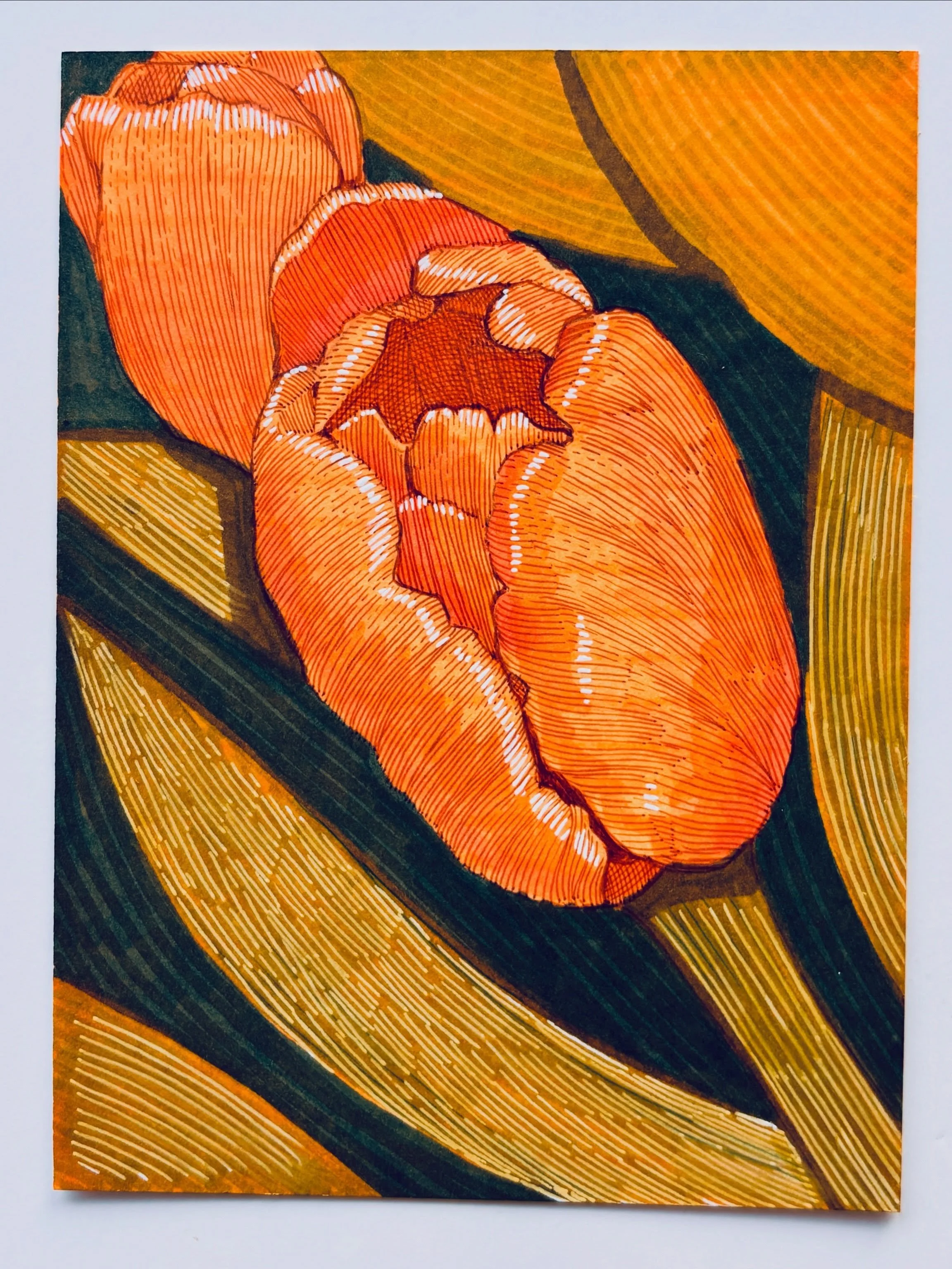 Tulips and Rhododendrons - I&rsquo;ll remember April. #flowerart #floralillustration 🌷