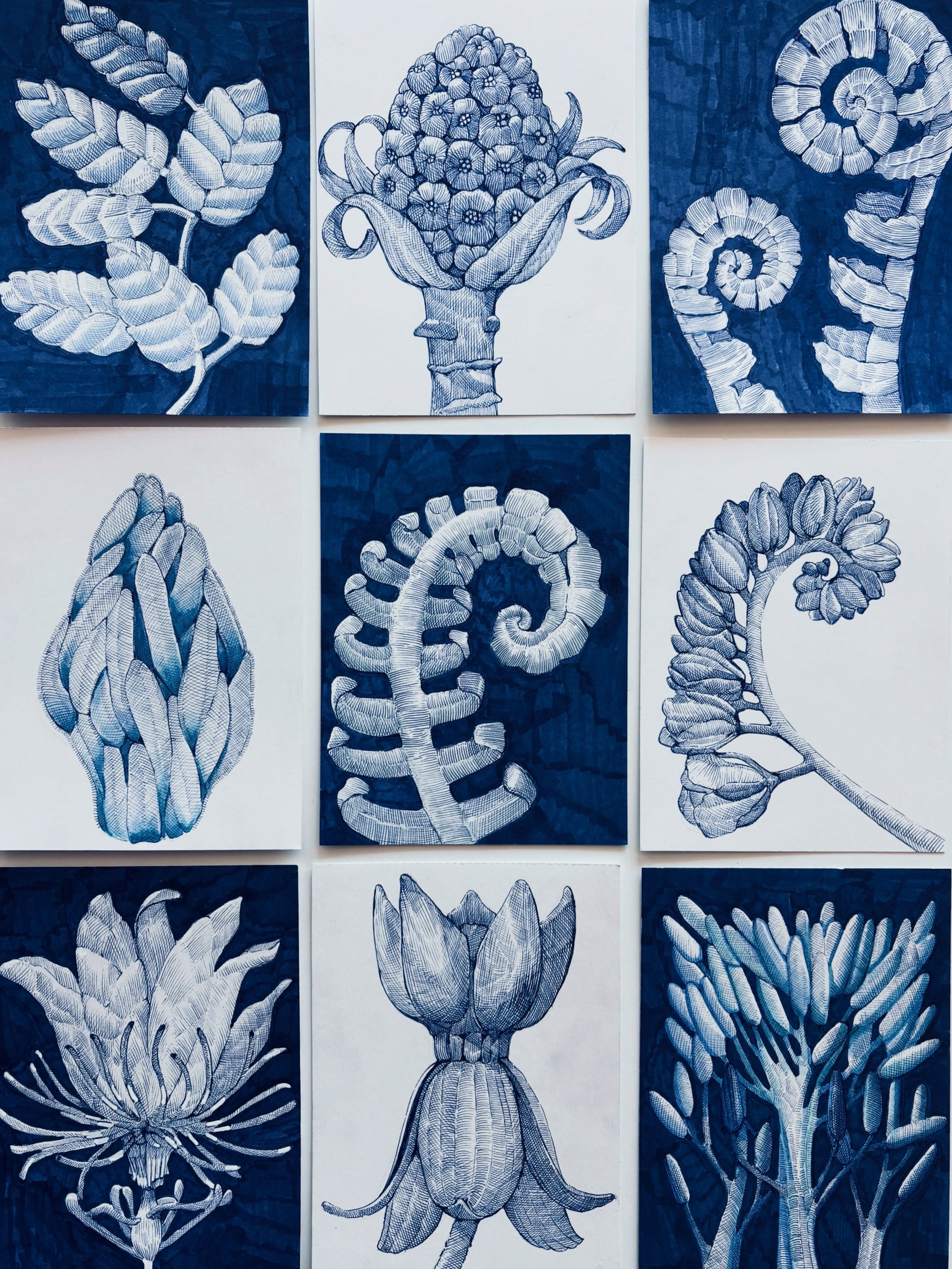 Some of the photos I was referring to from the last few days of the 100 day challenge. Reached day 86/100 🌱#inkdrawings #9grid