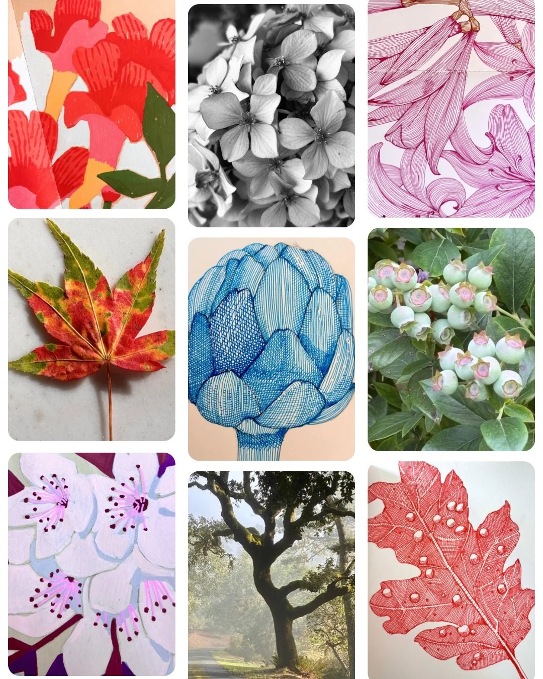 Nature&rsquo;s photo grid