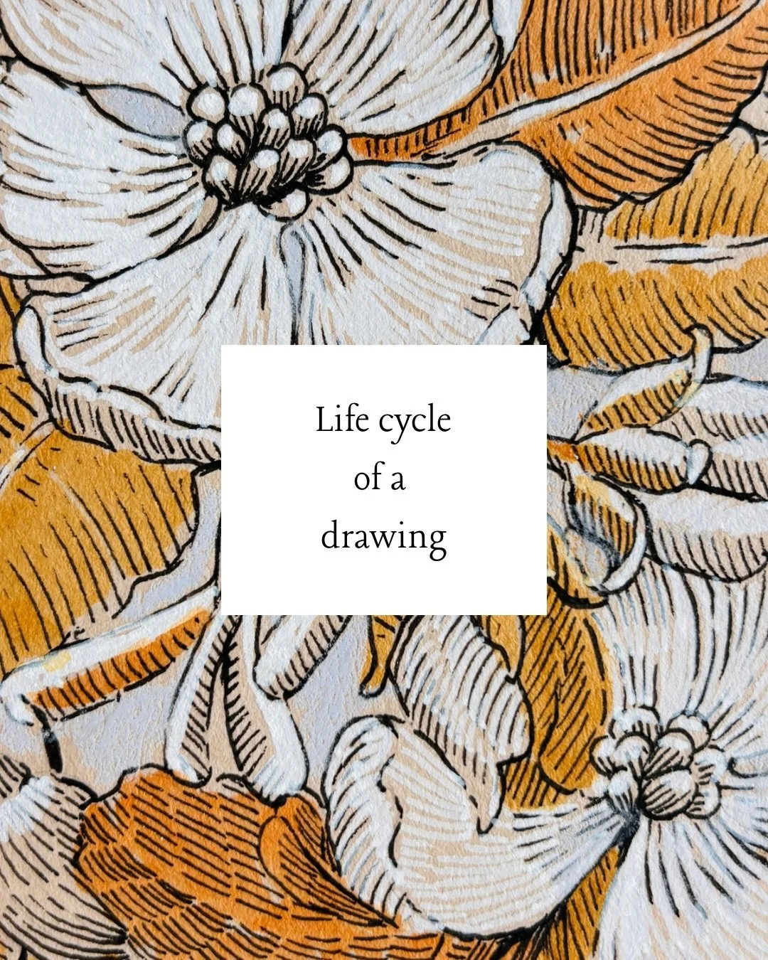 The life cycle of a typical drawing #adhdbrain