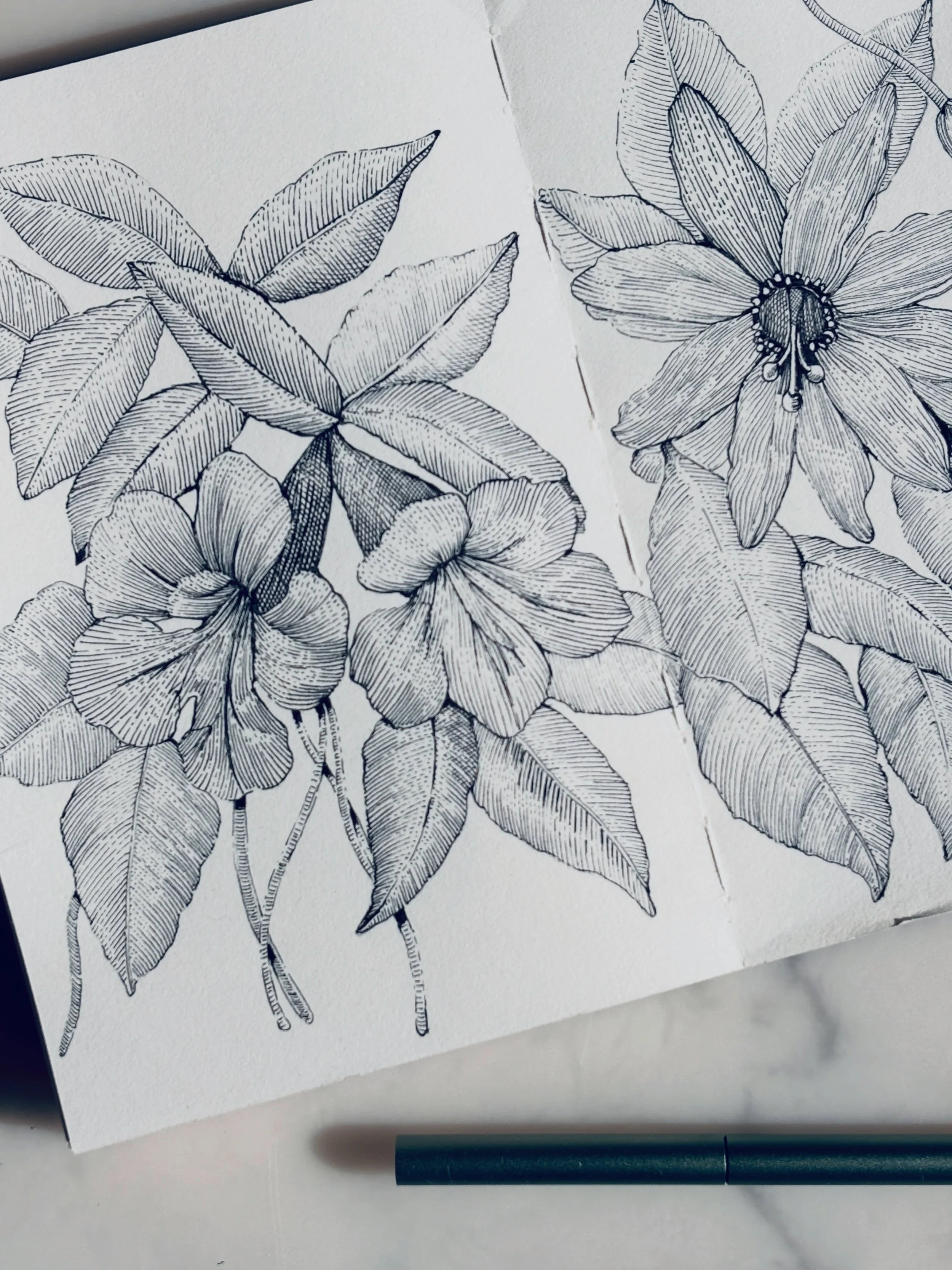 Simple black and white line drawing using my Tom&rsquo;s Studio ink pen. @tomsstudio #lineartwork