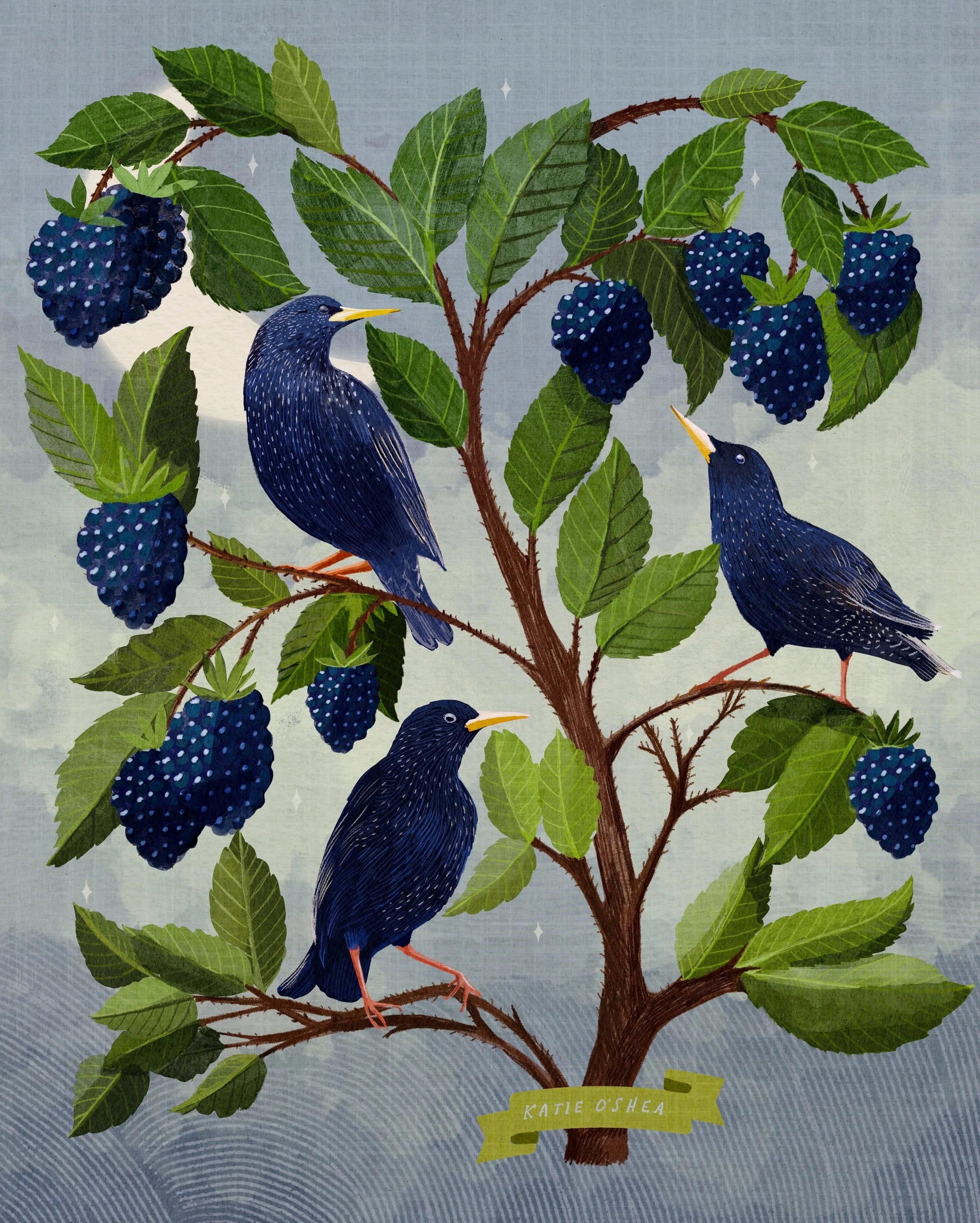 Week 3 of Botanical Beasties: STARLING + BLACKBERRIES 🐦&zwj;⬛ ✨

I had so much fun with this one. Starlings are so beautiful to draw from. I am just blown away by how many of you are participating in this Challenge. Keep up the good work! 

#botanic