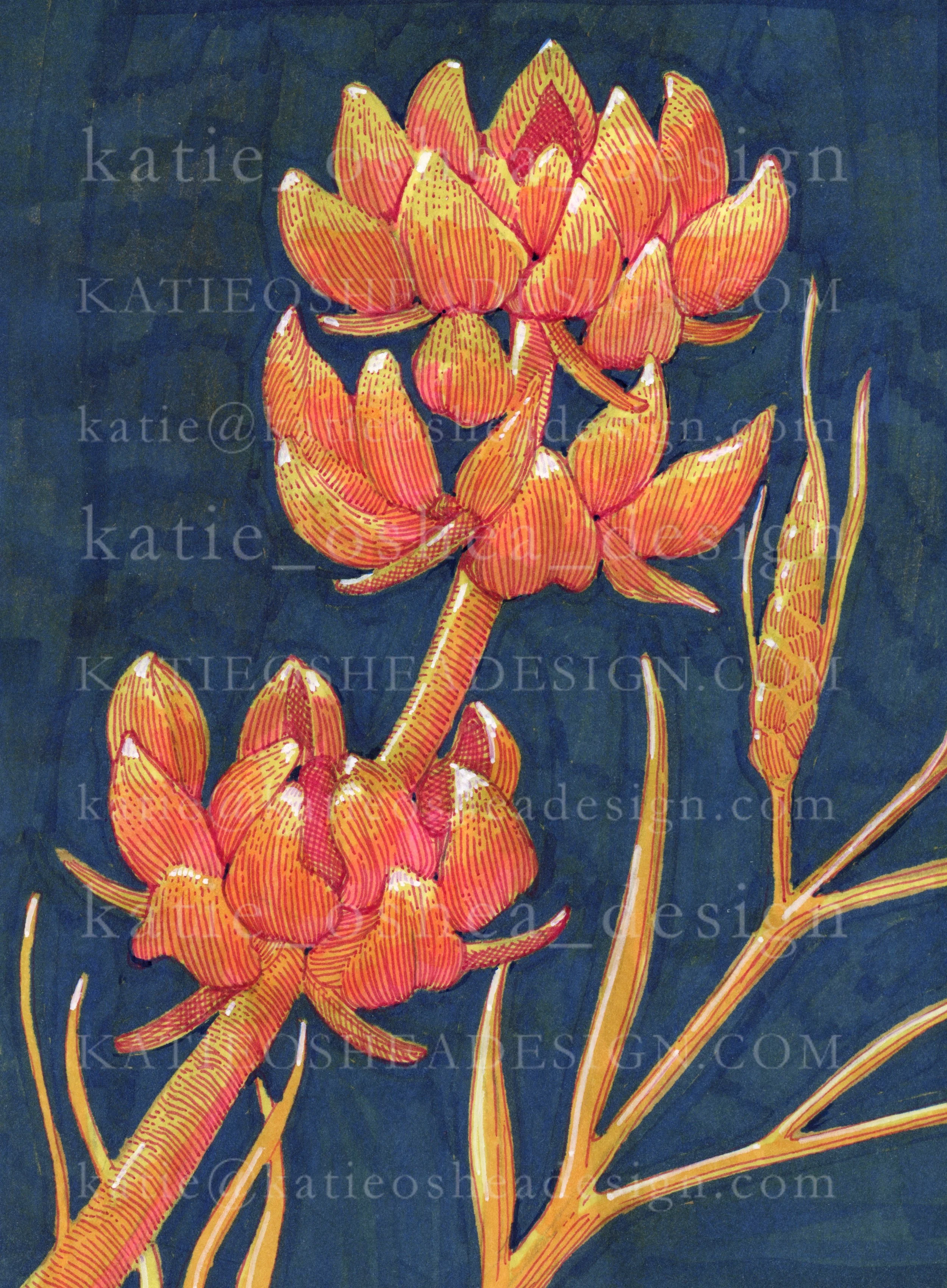 Orange Sage on Blue No13 WM.jpg
