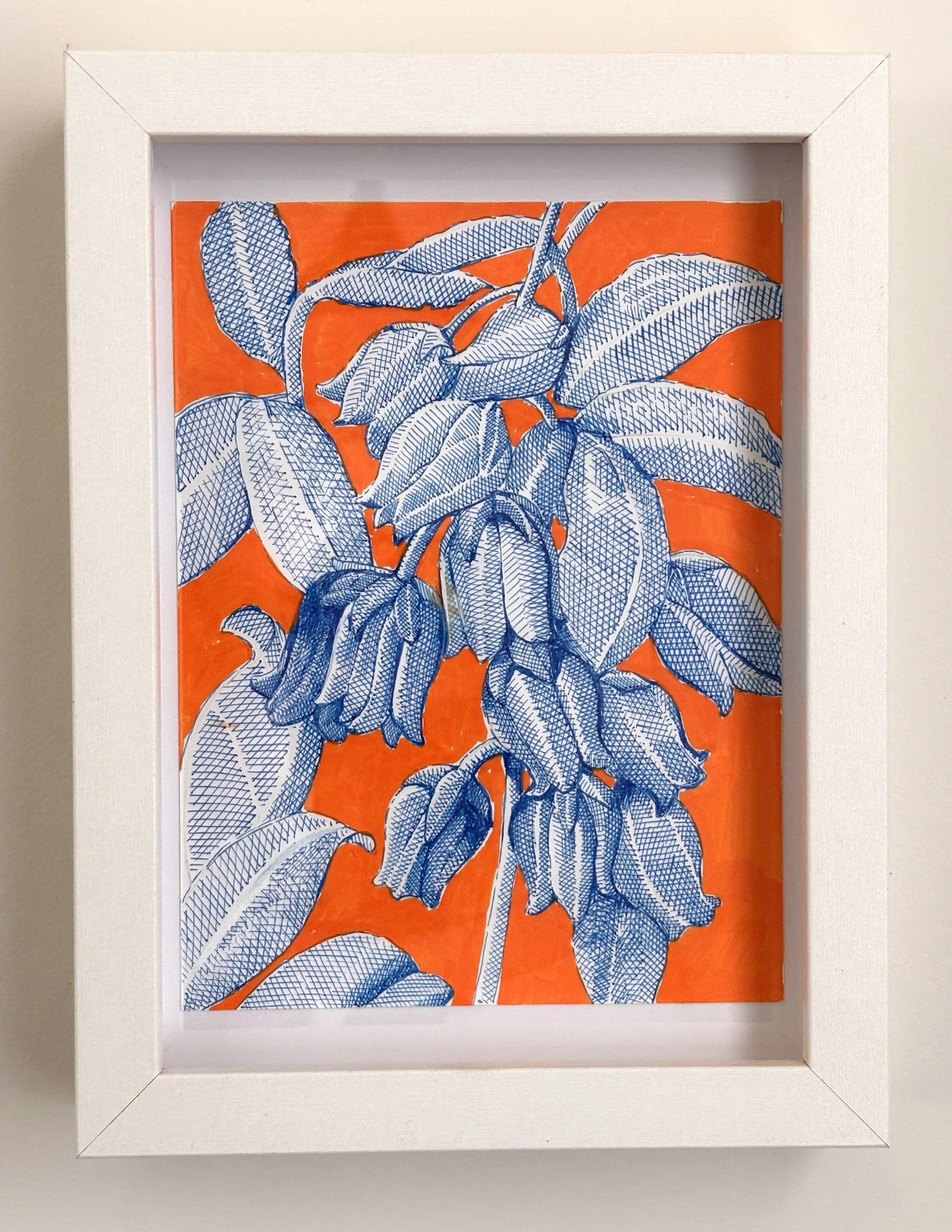Blue Line Drawing on Orange Background