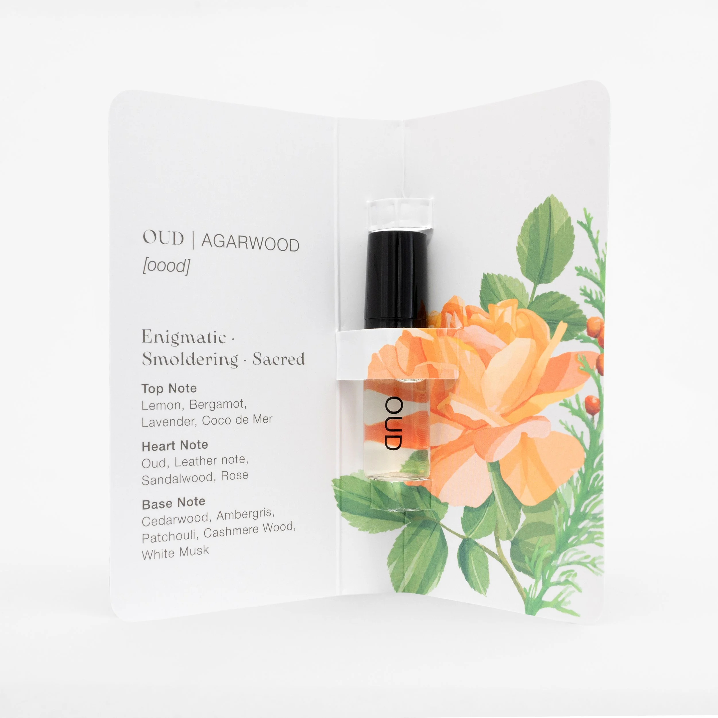 Illustration for Coco De Mer