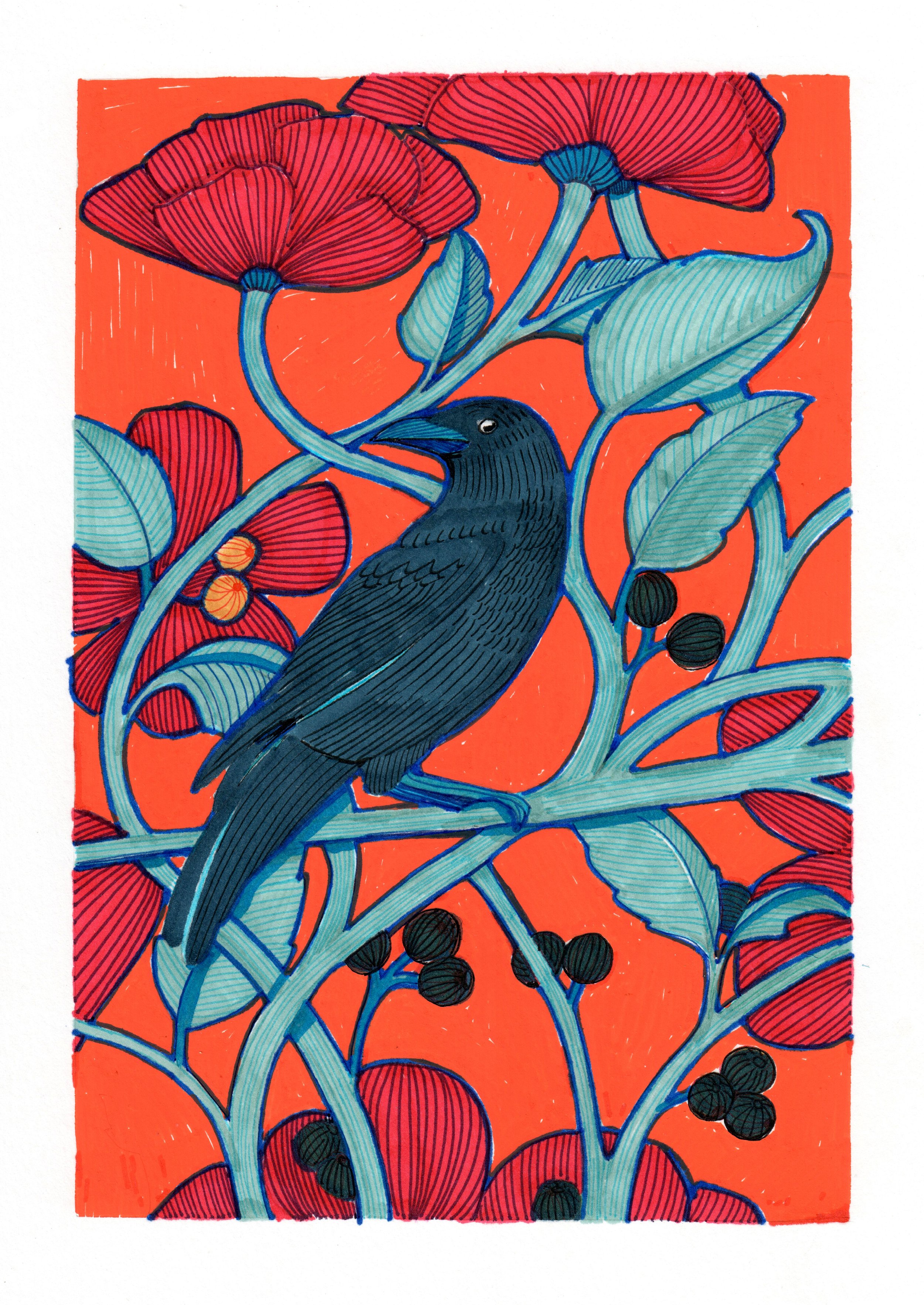 black crow.jpeg