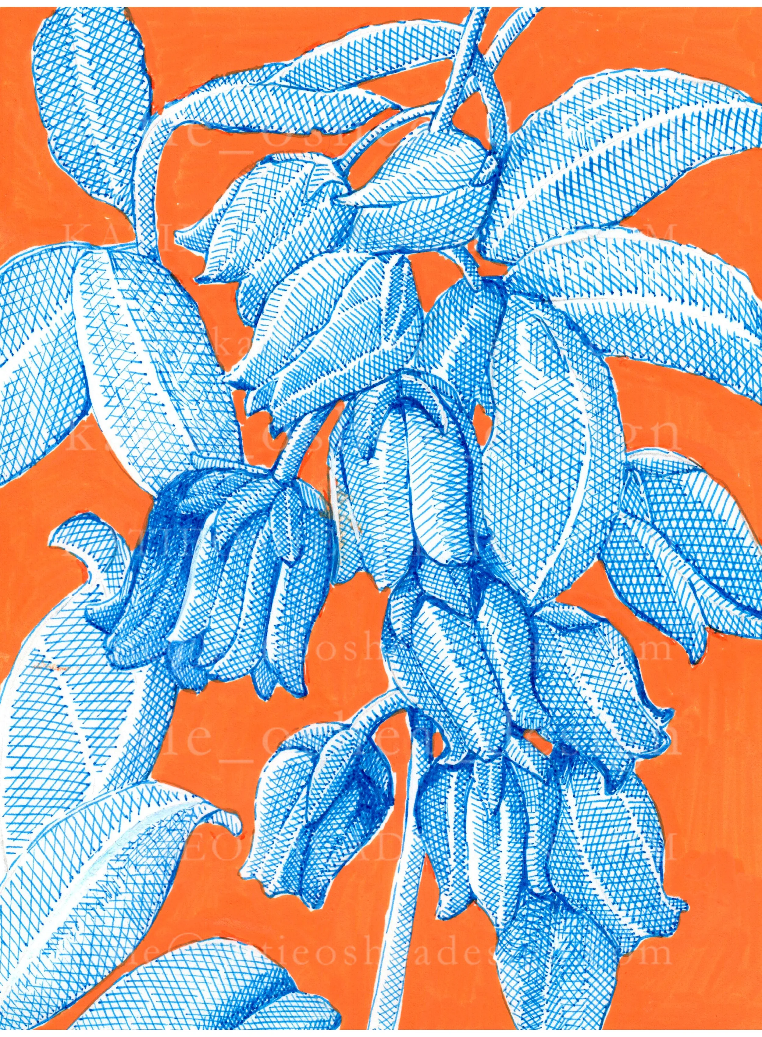 Blue and Orange No.7 WM.jpg