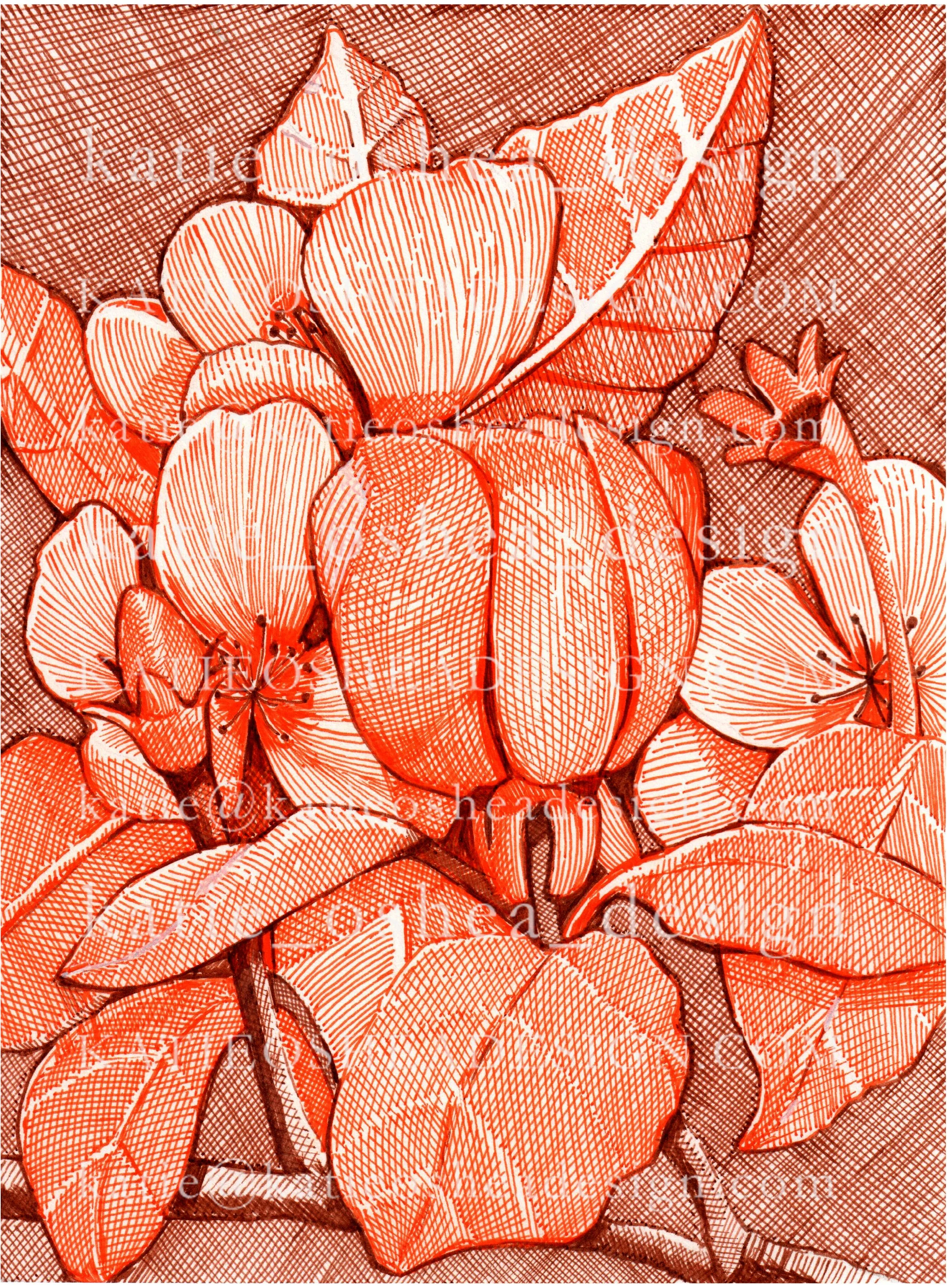Orange and Brown No.4 WM.jpg
