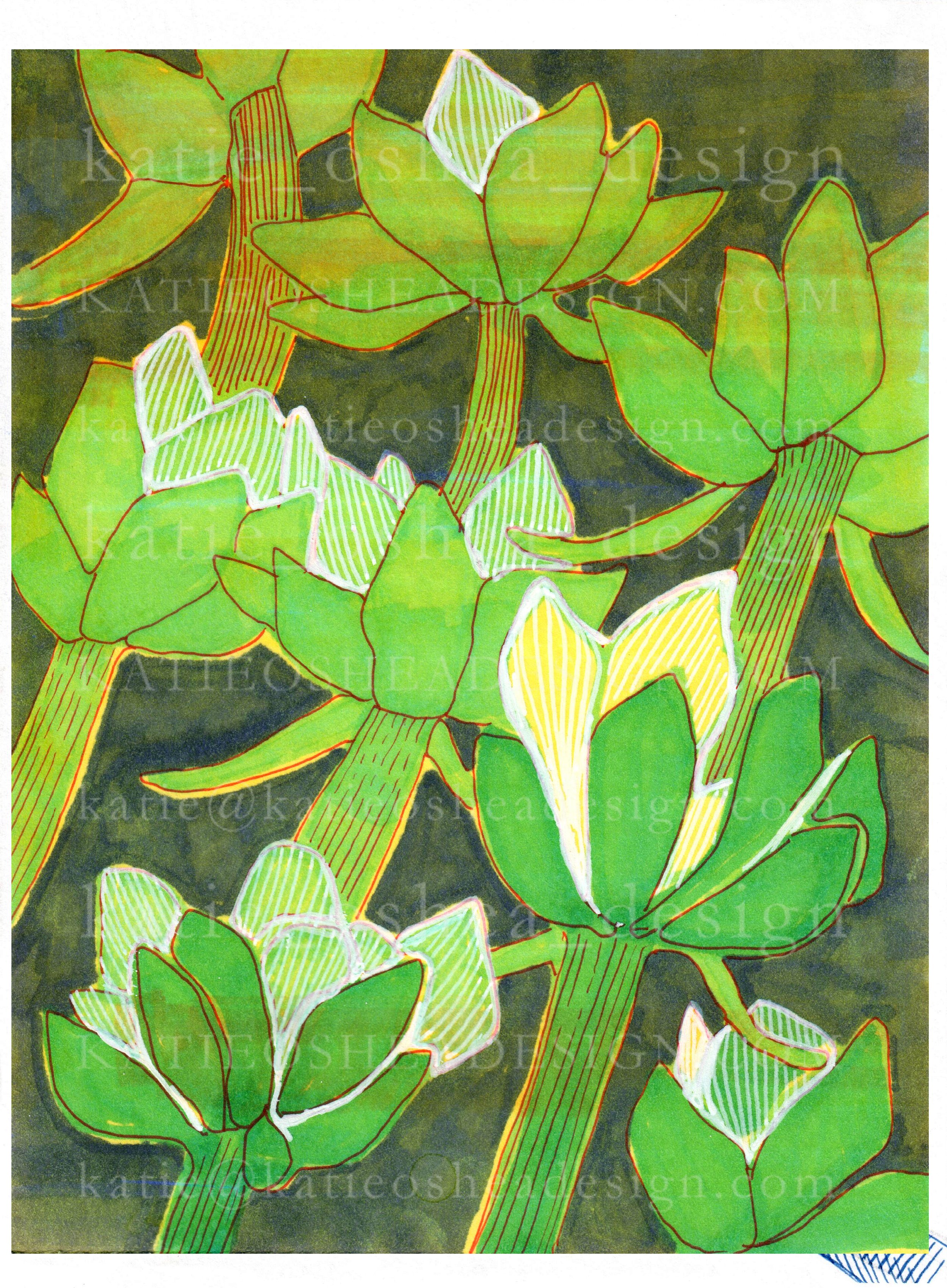 Green Artichoke Stem Art.jpg (Copy)