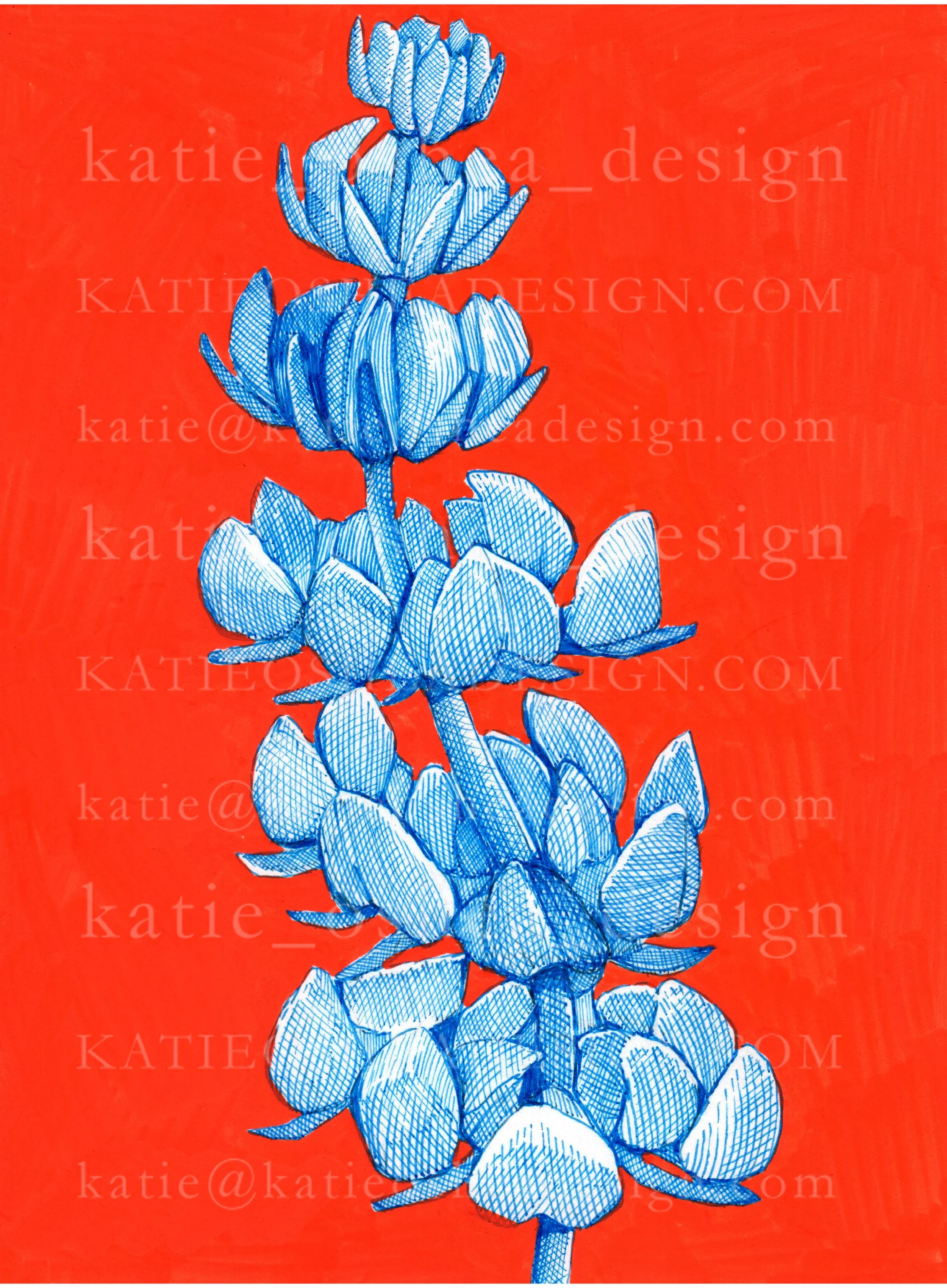 Red and Blue No.5 WM.jpg