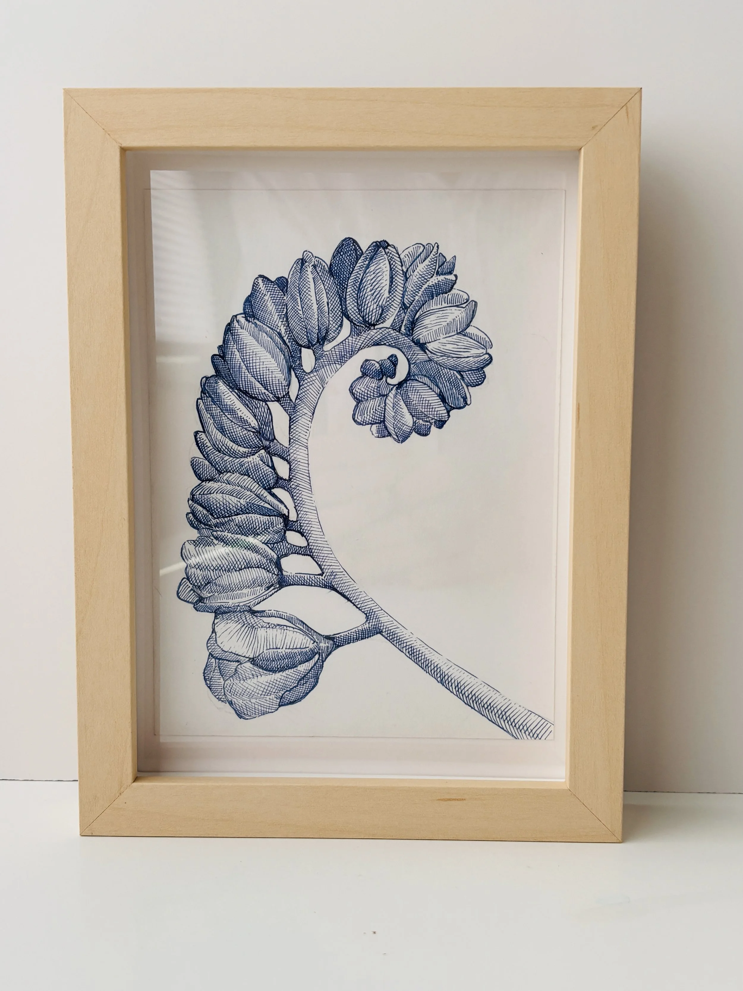 Botanical Blue Line Drawing No.20