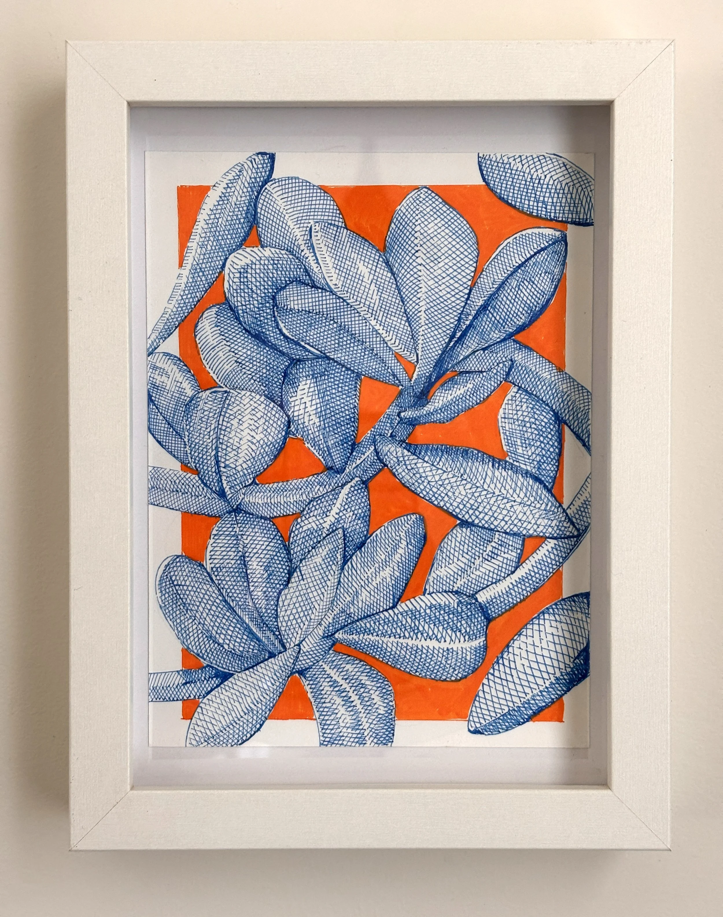 Blue and Orange Succulent line Drawing