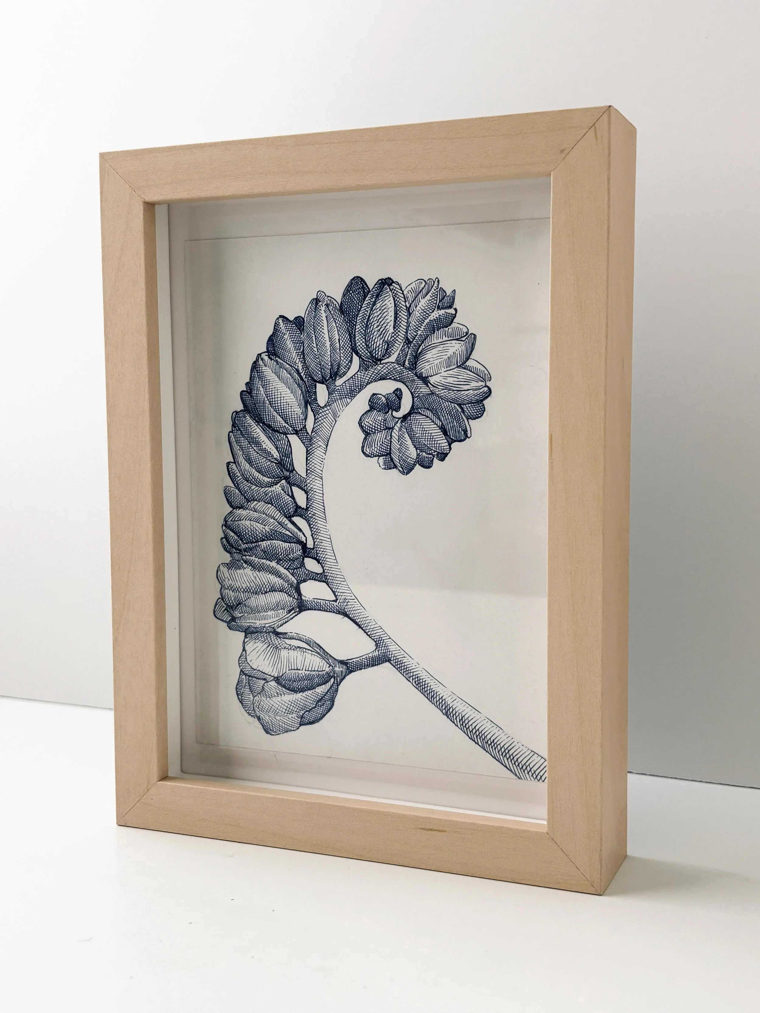 Botanical No 20 C.jpg
