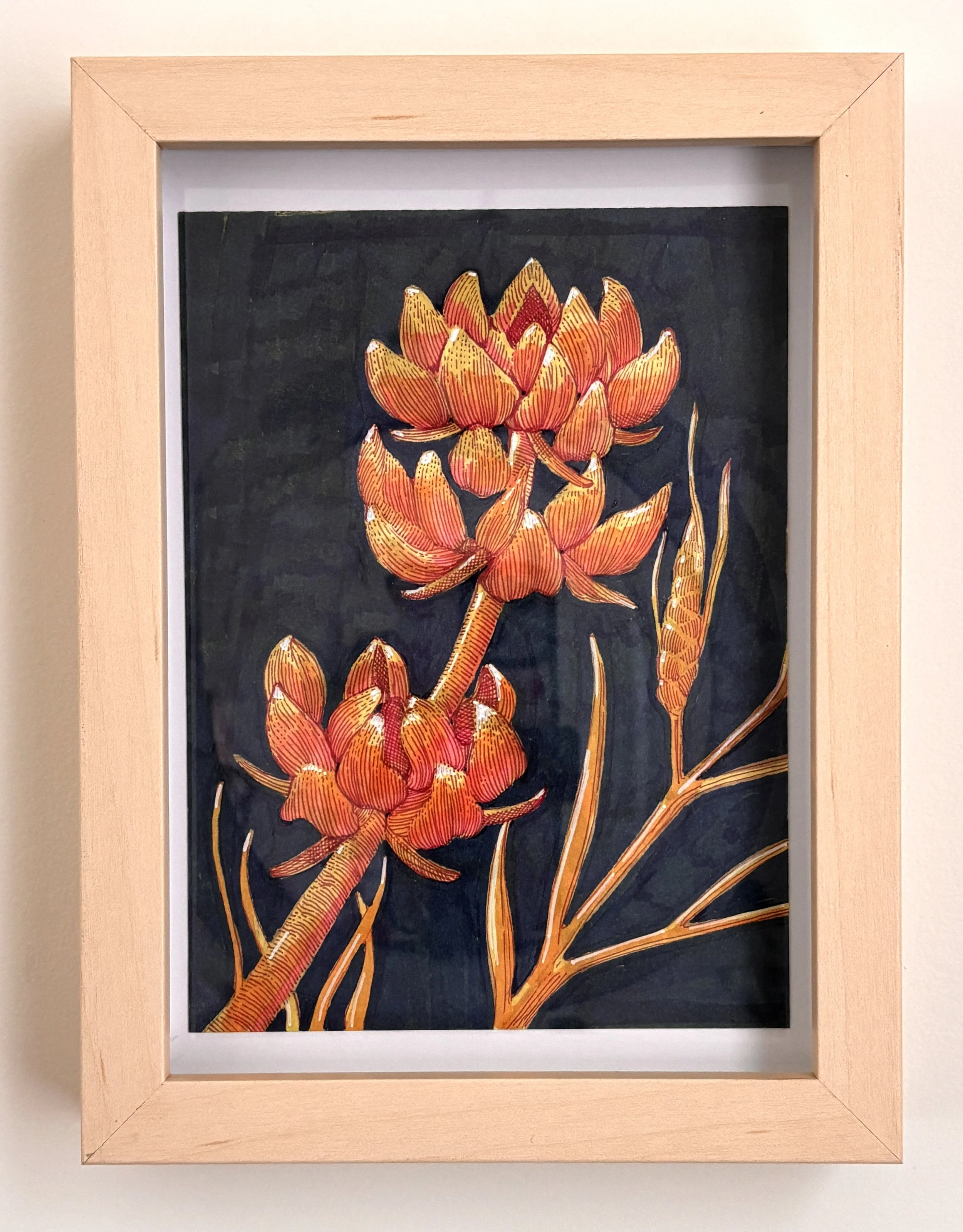 Sage in Orange and Blue Line Drawing No.13