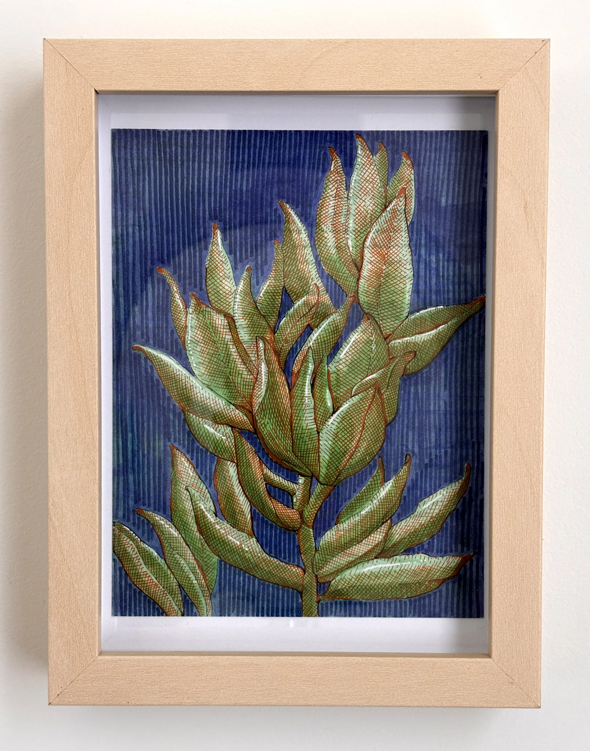 Green Succulents on Blue Line Drawing