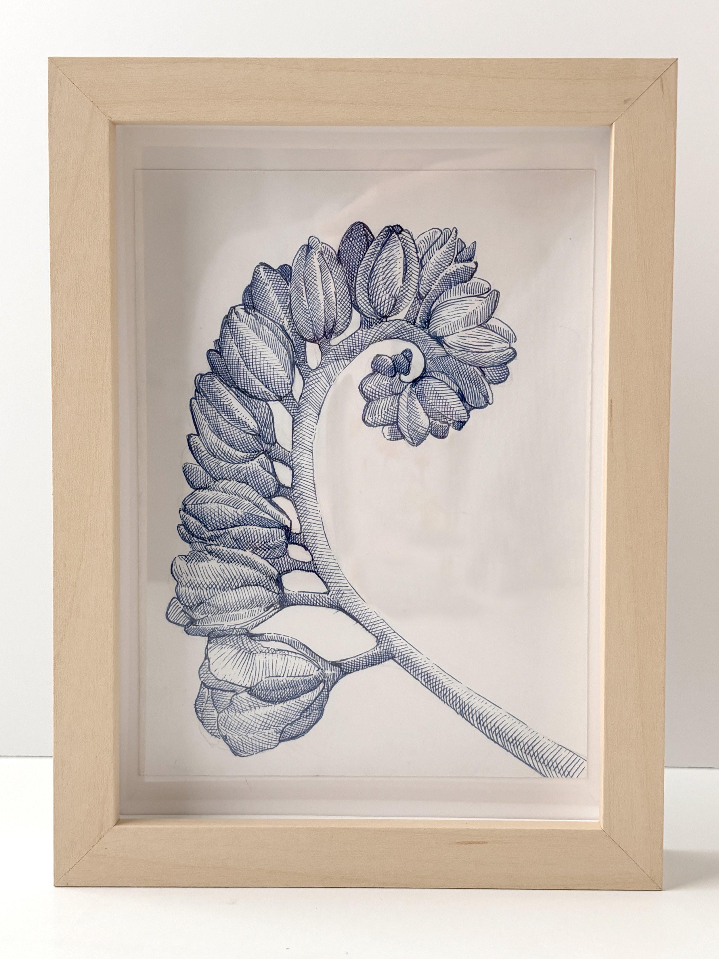 Botanical Blue Line Drawing No.20