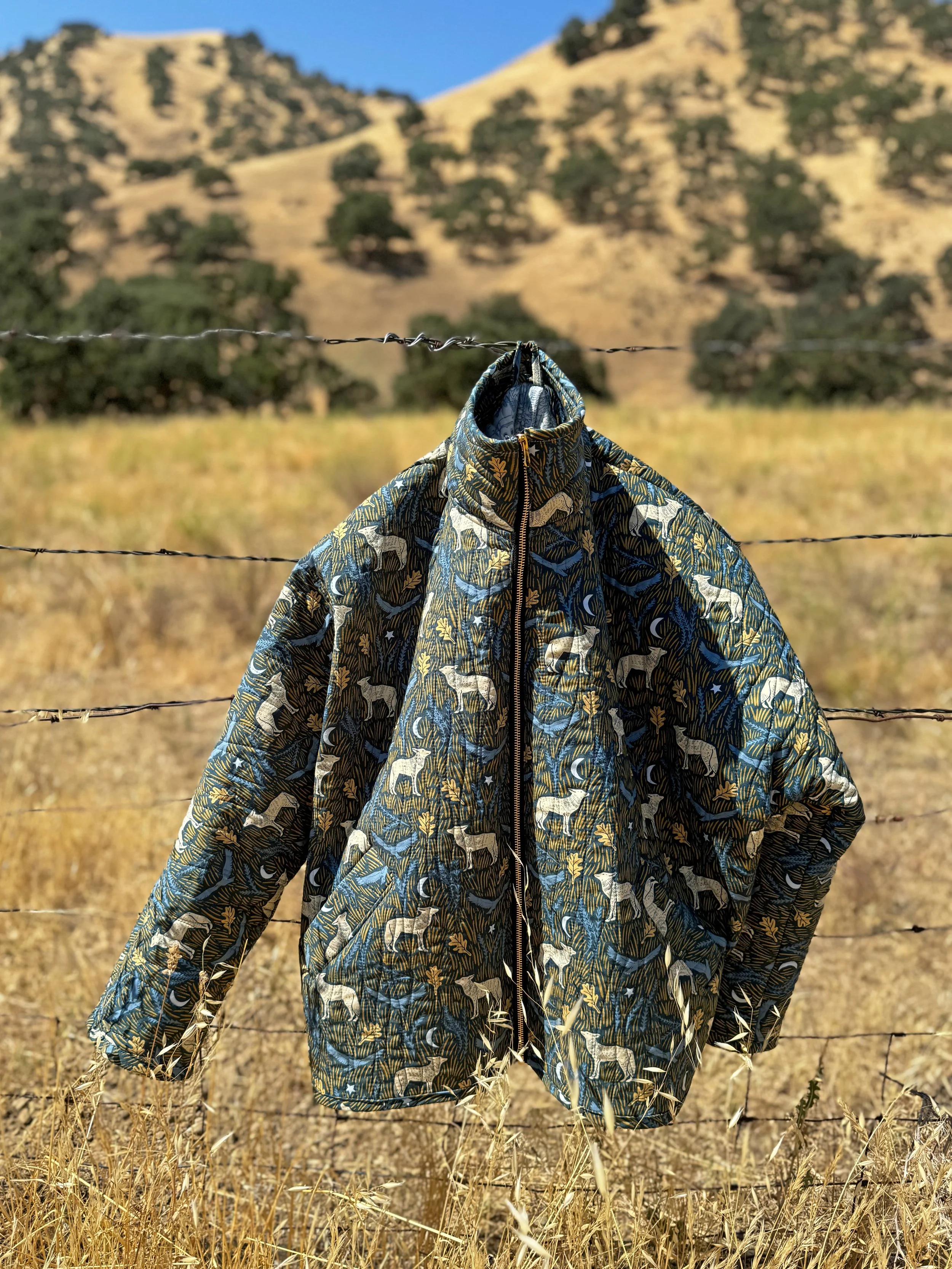 Coyote_Mary_3.jpg
