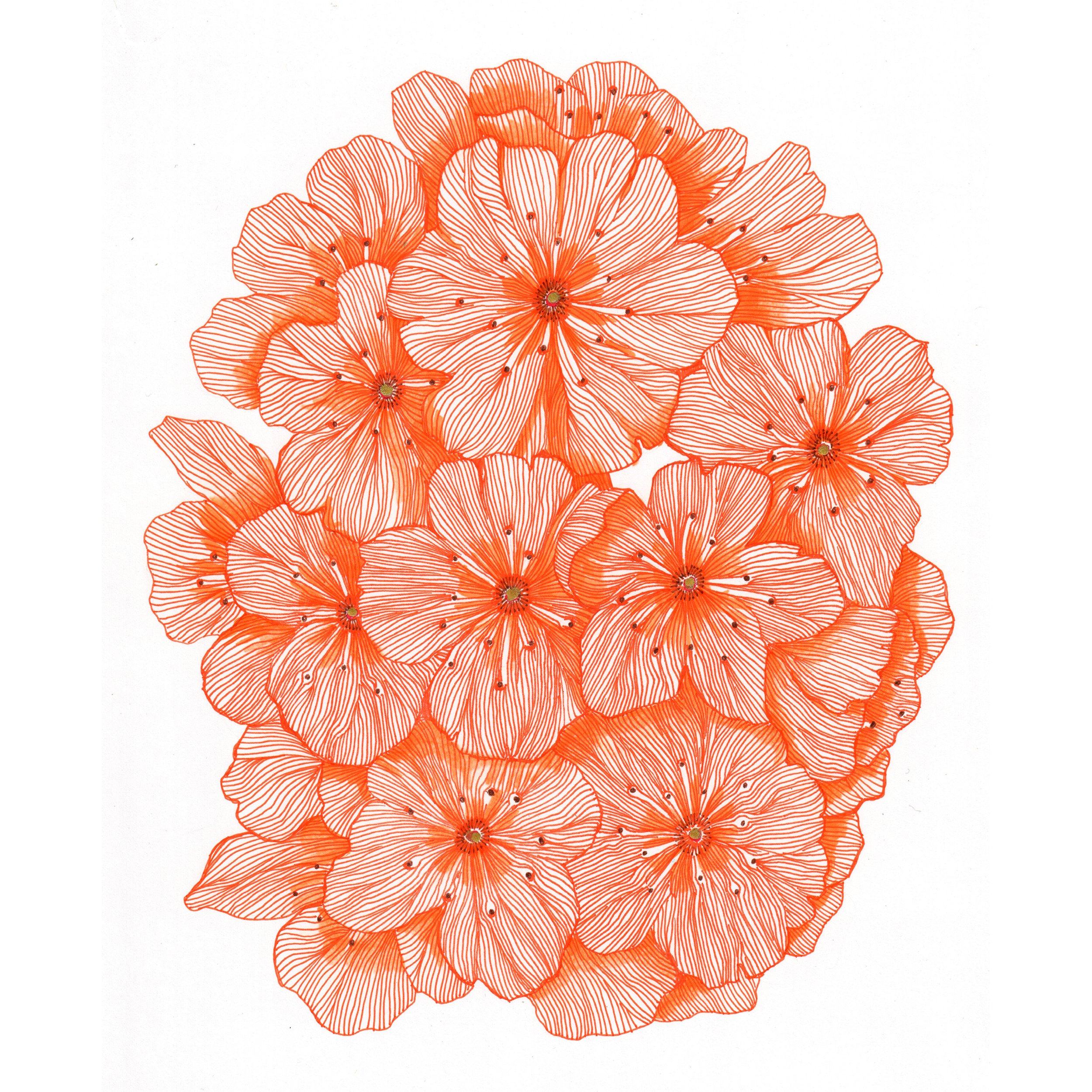 Orange Flowers 1 SM.jpg