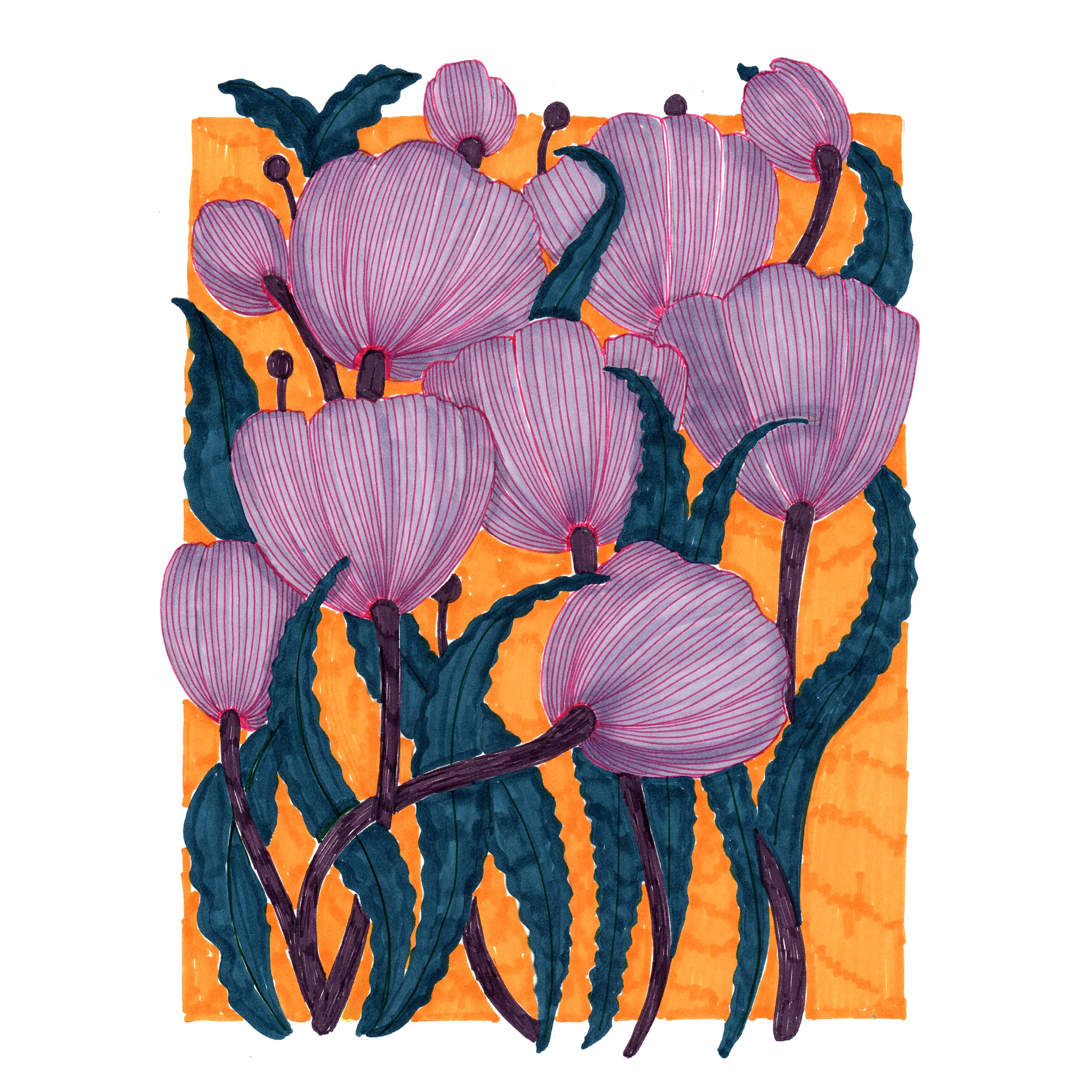 purple tulips SM.jpg
