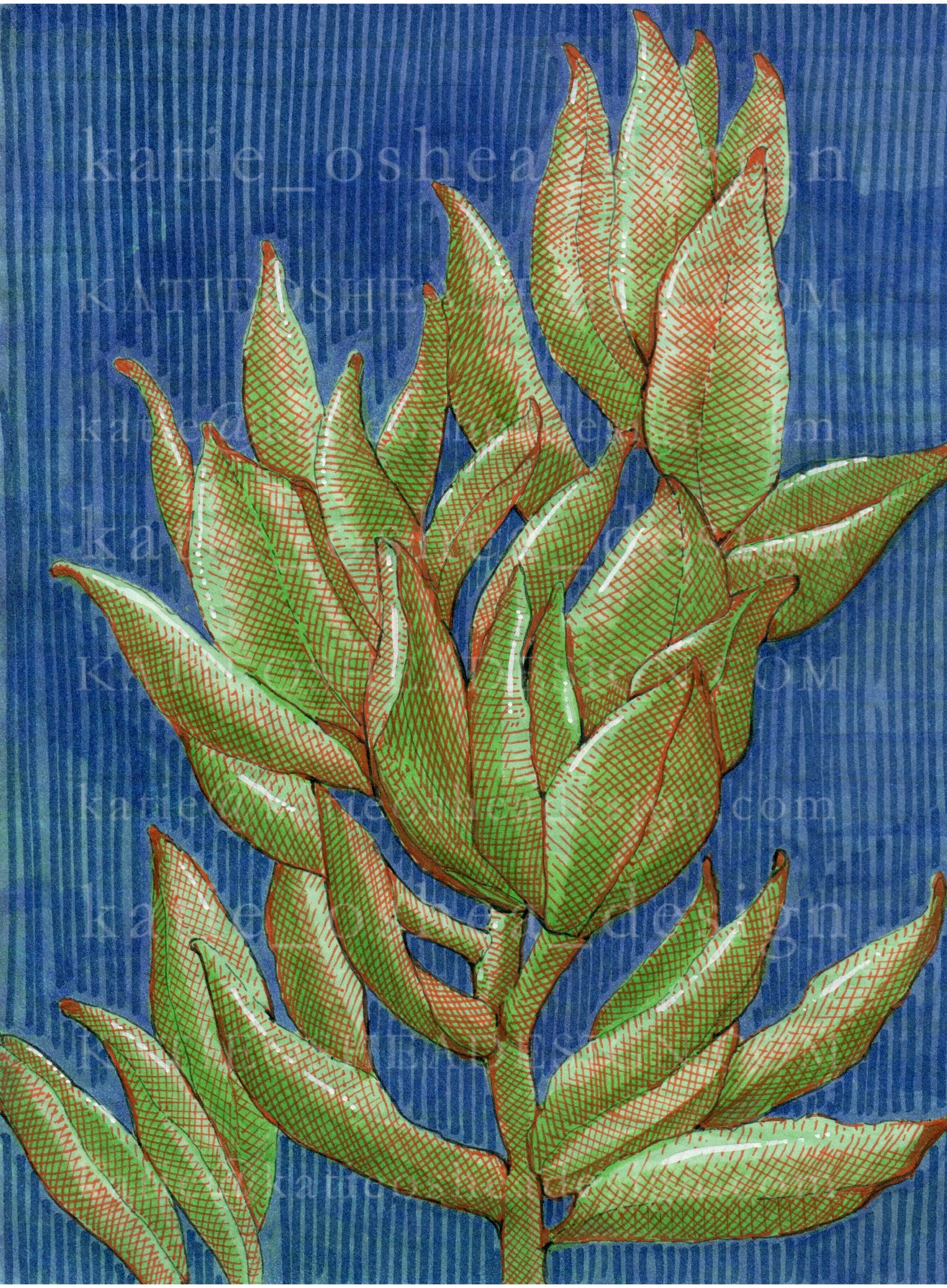 Green Succulents WM No 15.jpg