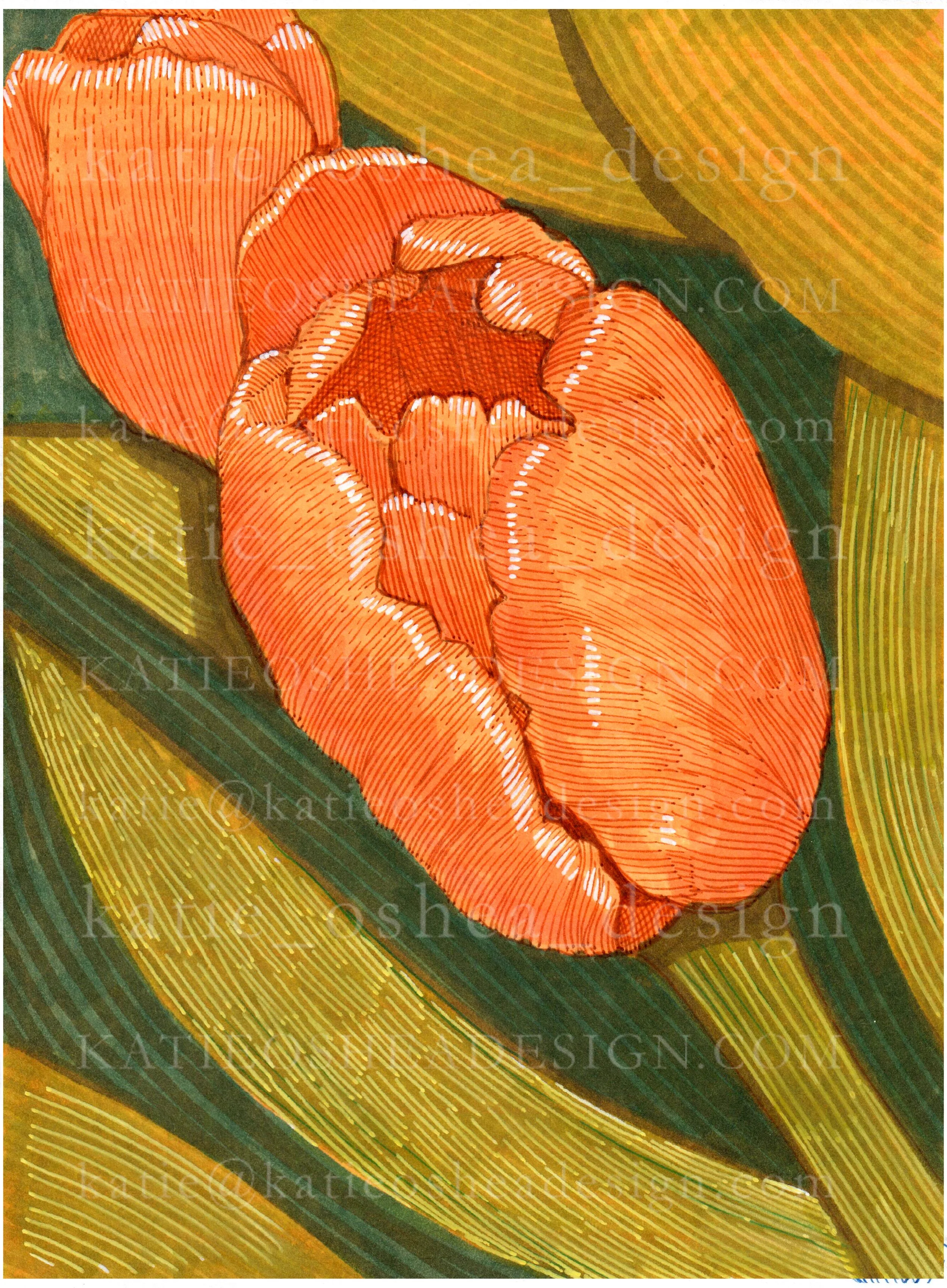 Tulip No 17 WM.jpg