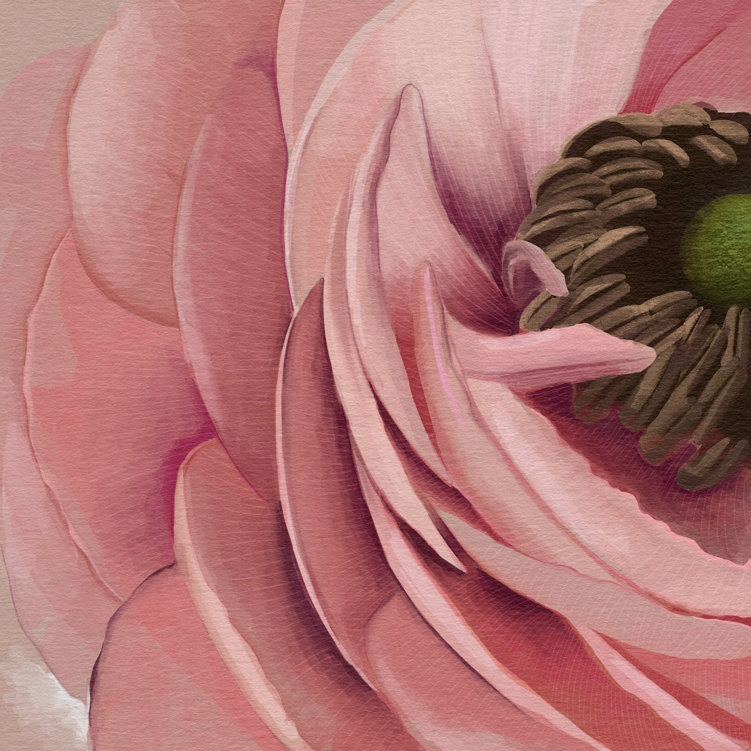 Closeup.jpg