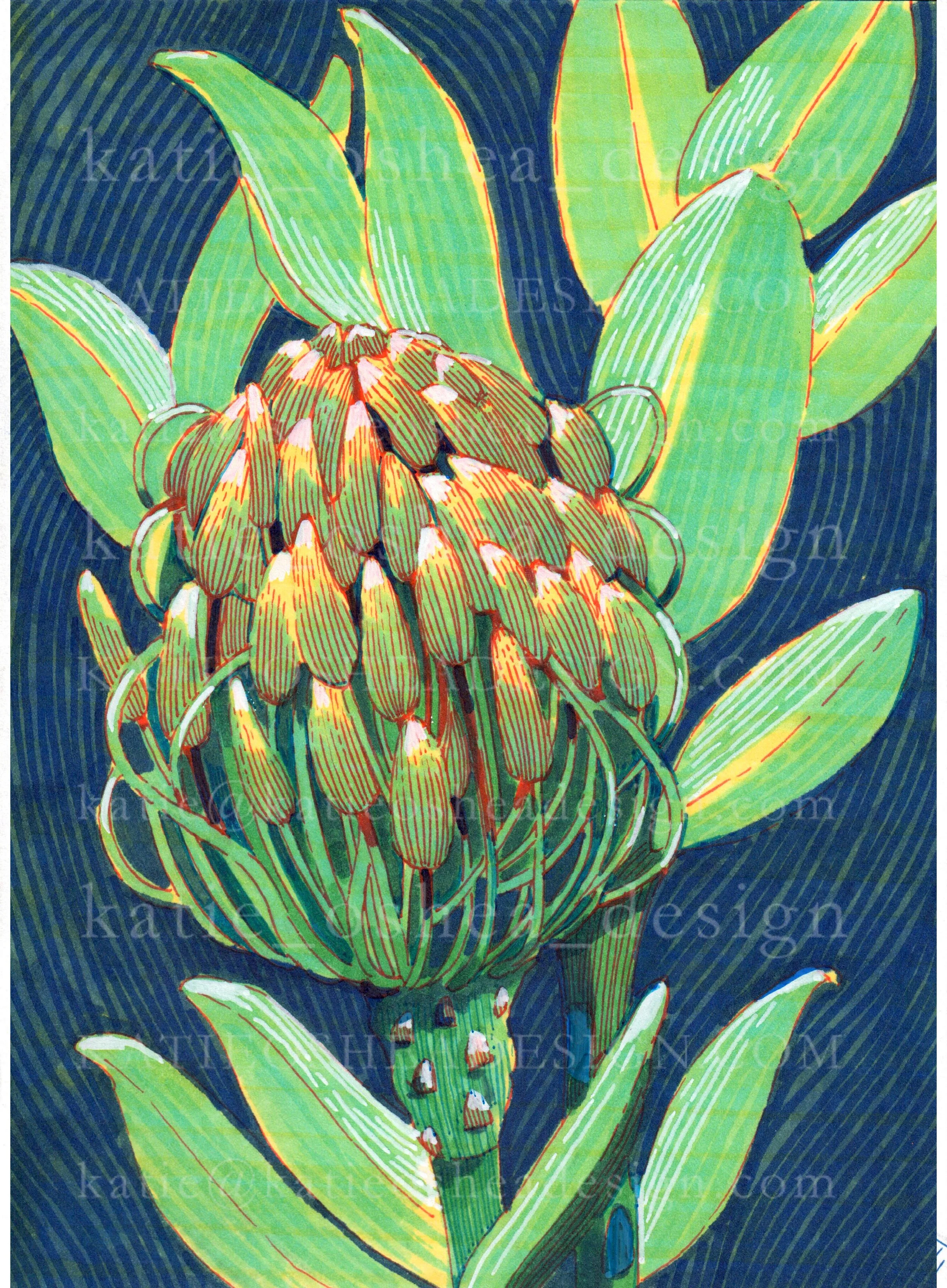 Green Flower Bud WM No 14.jpg