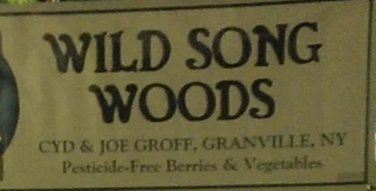 Wild Song Woods - Granville, NY