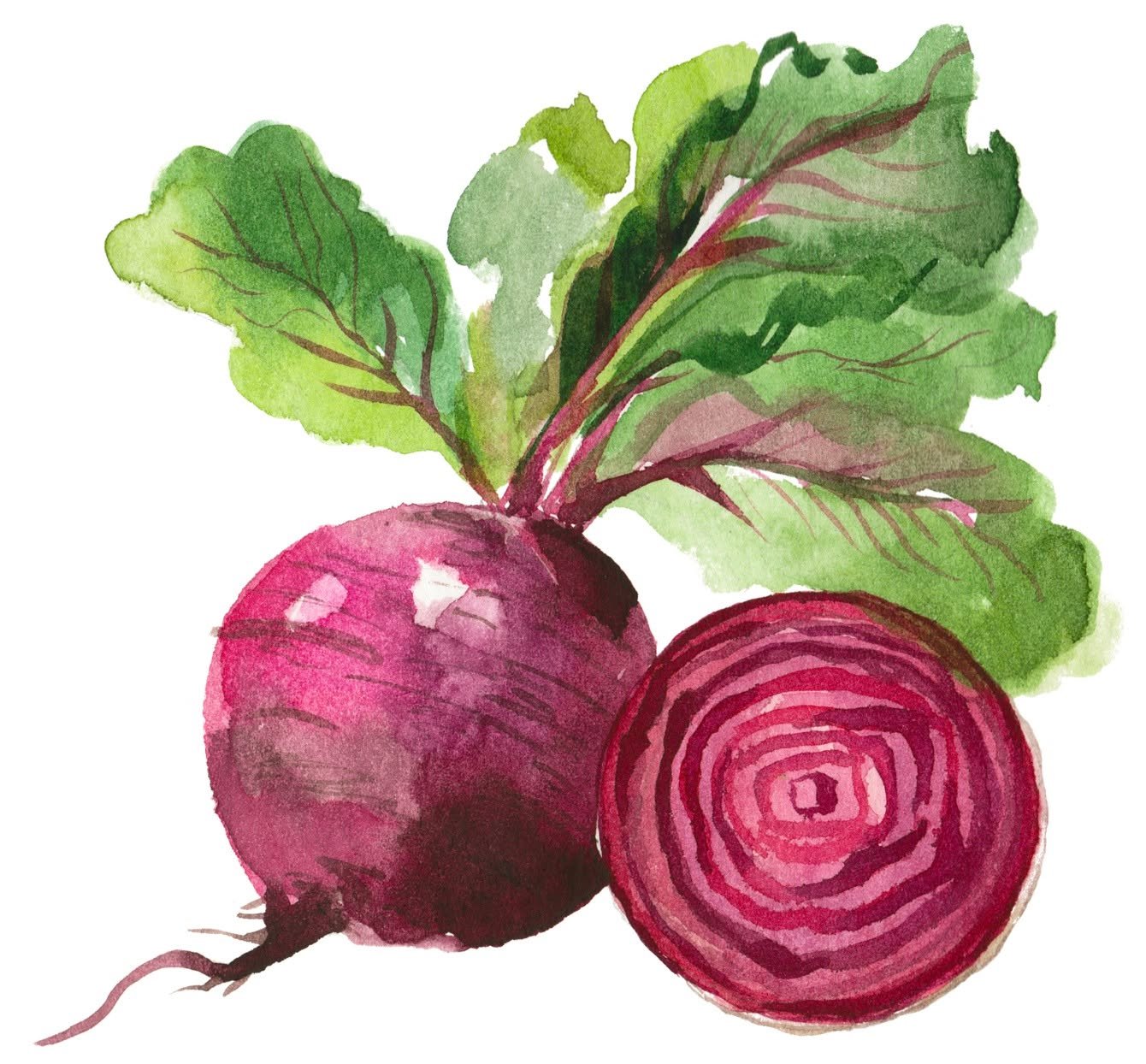 We are Marching forward to Spring and it's coming fast! 

If you know a farmer or craftsperson who might be looking to join a budding farmers market then tag them here please! The application is out and available through the website. https://www.slat