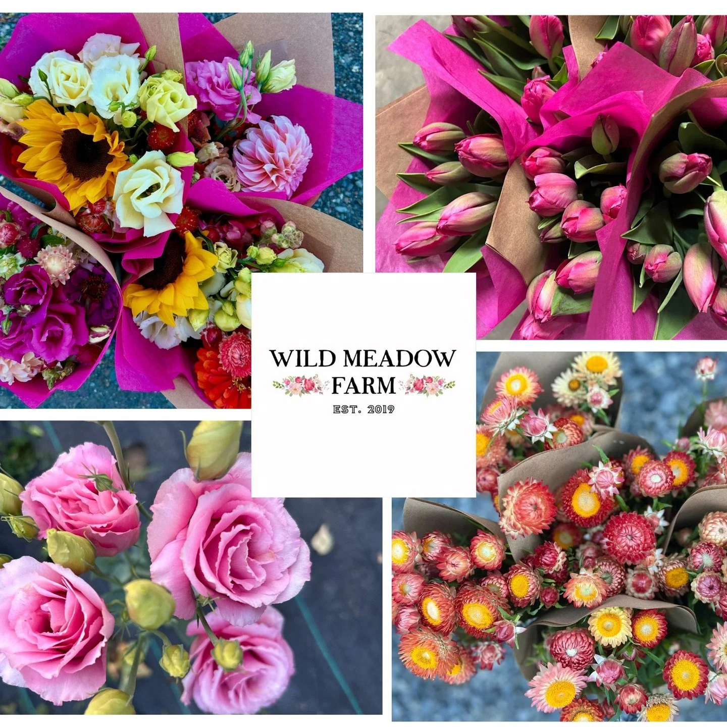 @wildmeadowfarmny will be sending their fresh cut seasonal flowers for us all to admire and enjoy to the market. Her soul soothing bouquets and arrangements never disappoint and we are lucky to have them join us this summer! 🌷 Her tulips are coming 