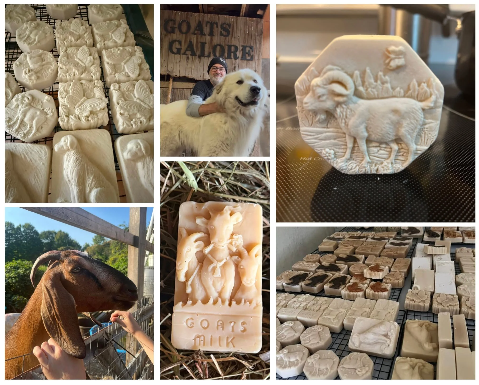 James Osbourne, operating out of his farm in Hartford, NY,  sure is passionate about his goats!  He is a true animal lover and treats all his furry and feathered friends with love, respect, and care. He has been making his own sought after goats milk