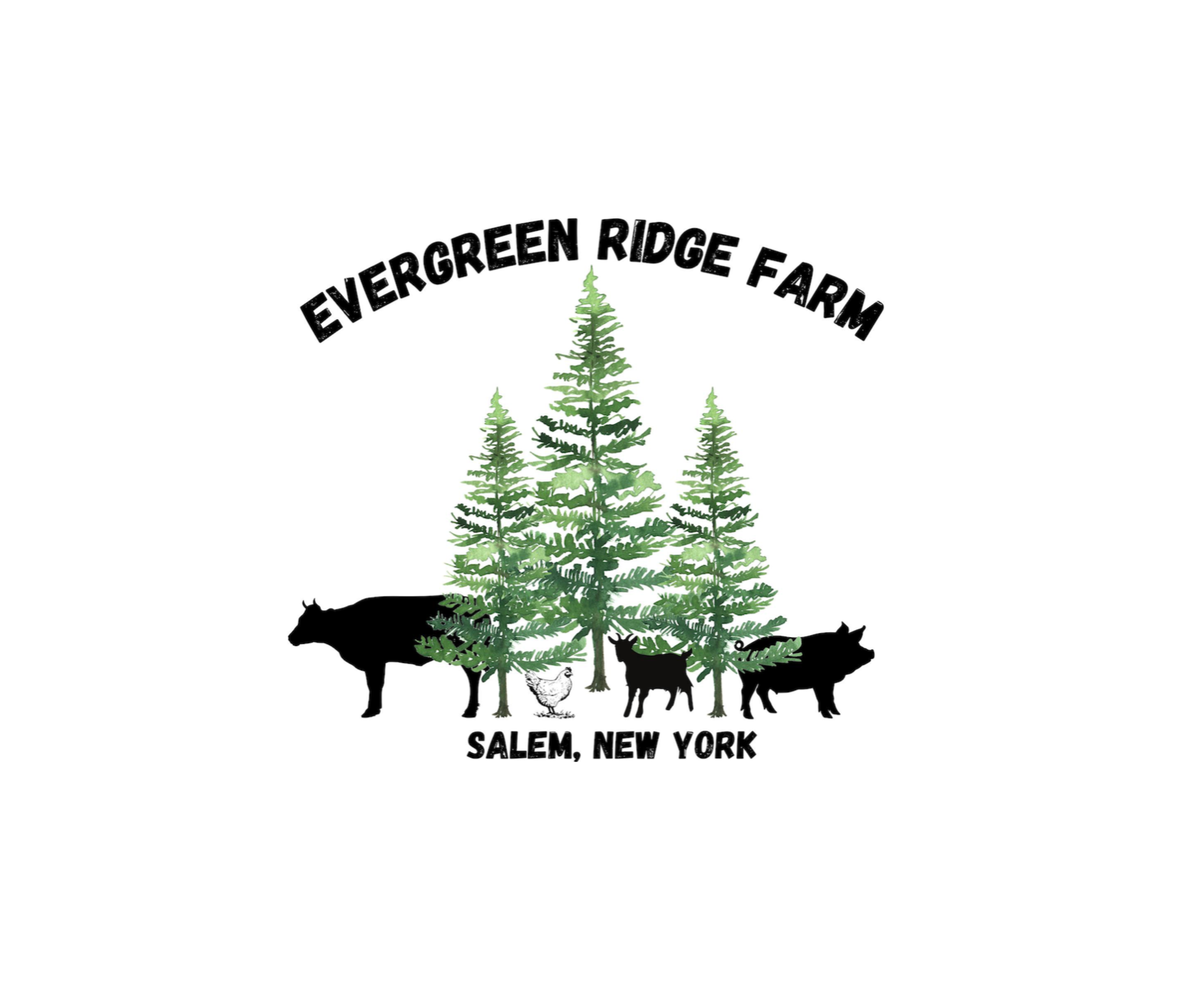 Evergreen Ridge Farm LLC - Salem, NY