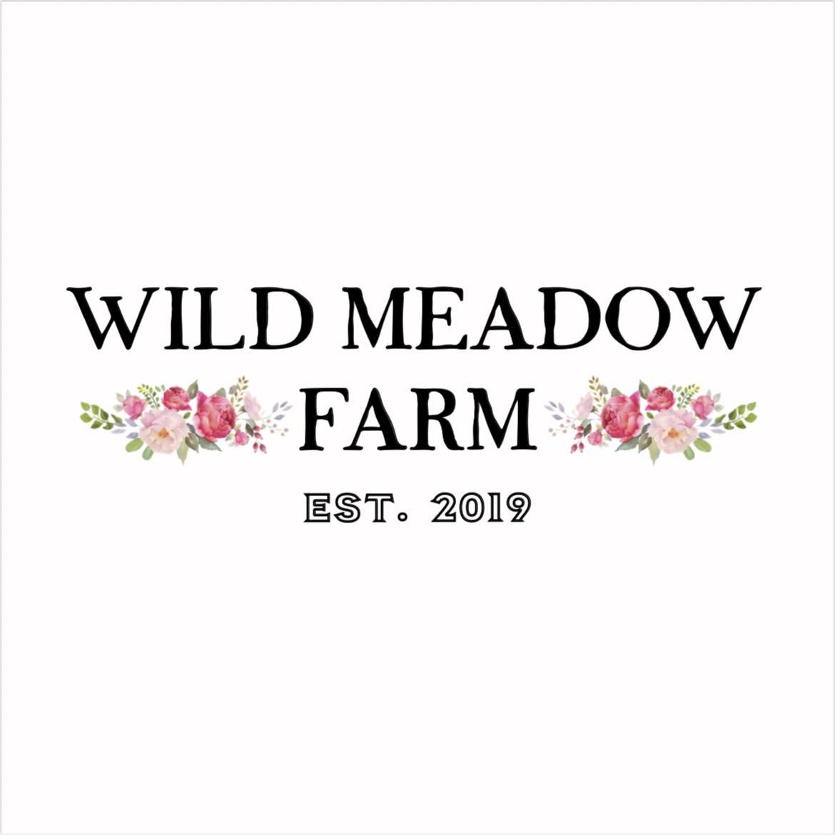 Wild Meadow Flowers