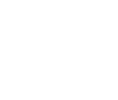 Checkmark for selection