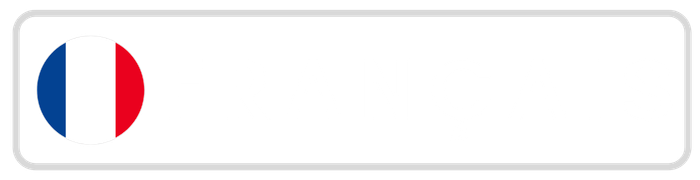 Translate page in French