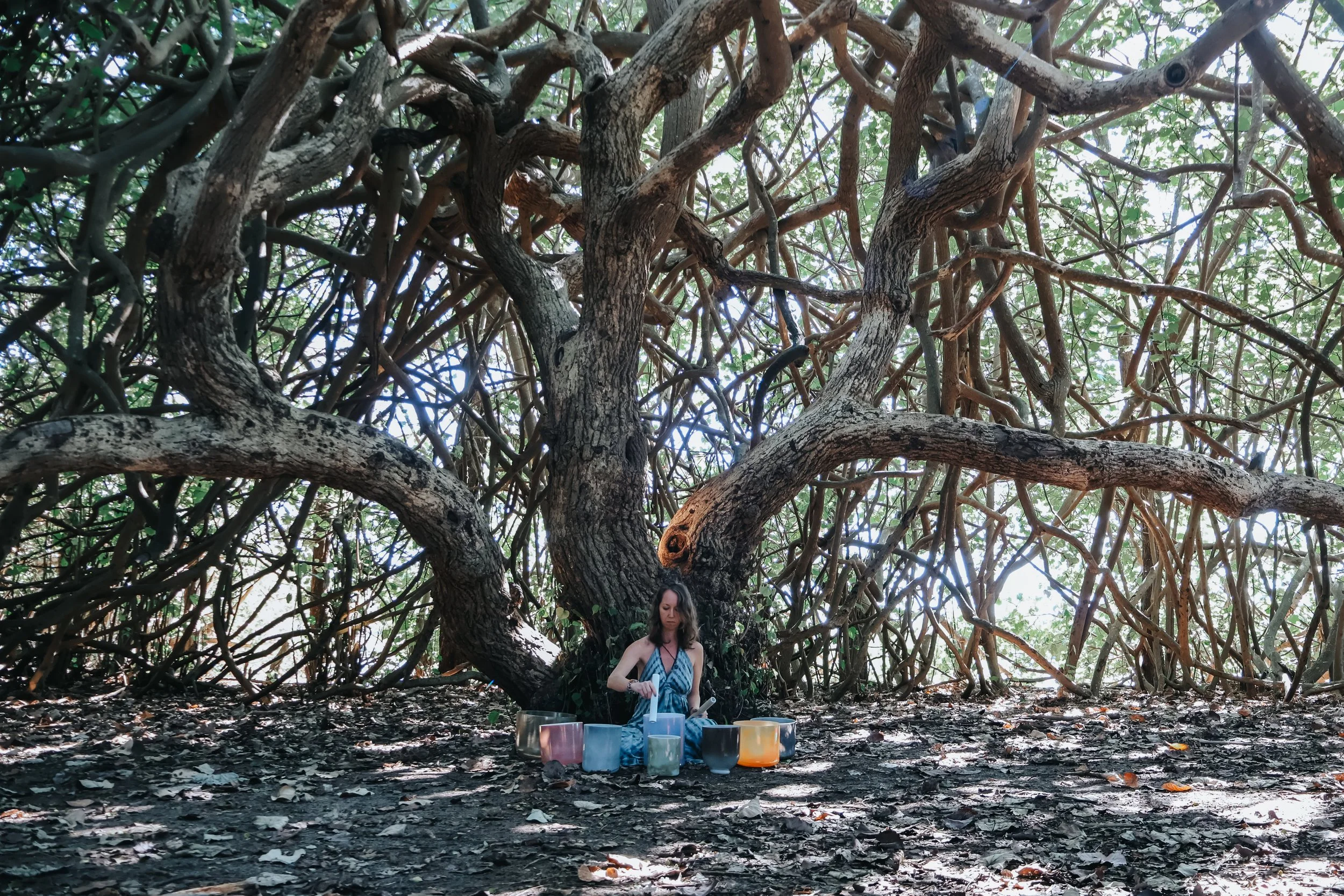 Alchemical Breathwork & Sound Bath