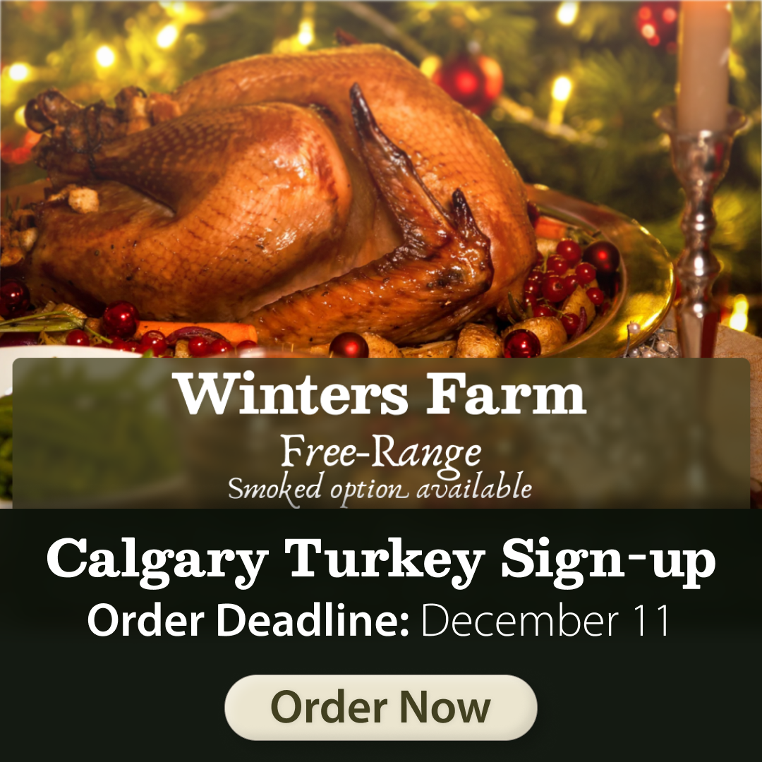 calgary-turkeys.png