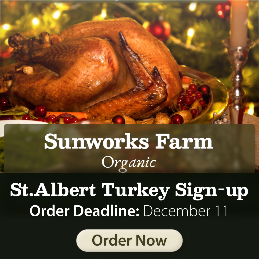 stalbert turkeys.png