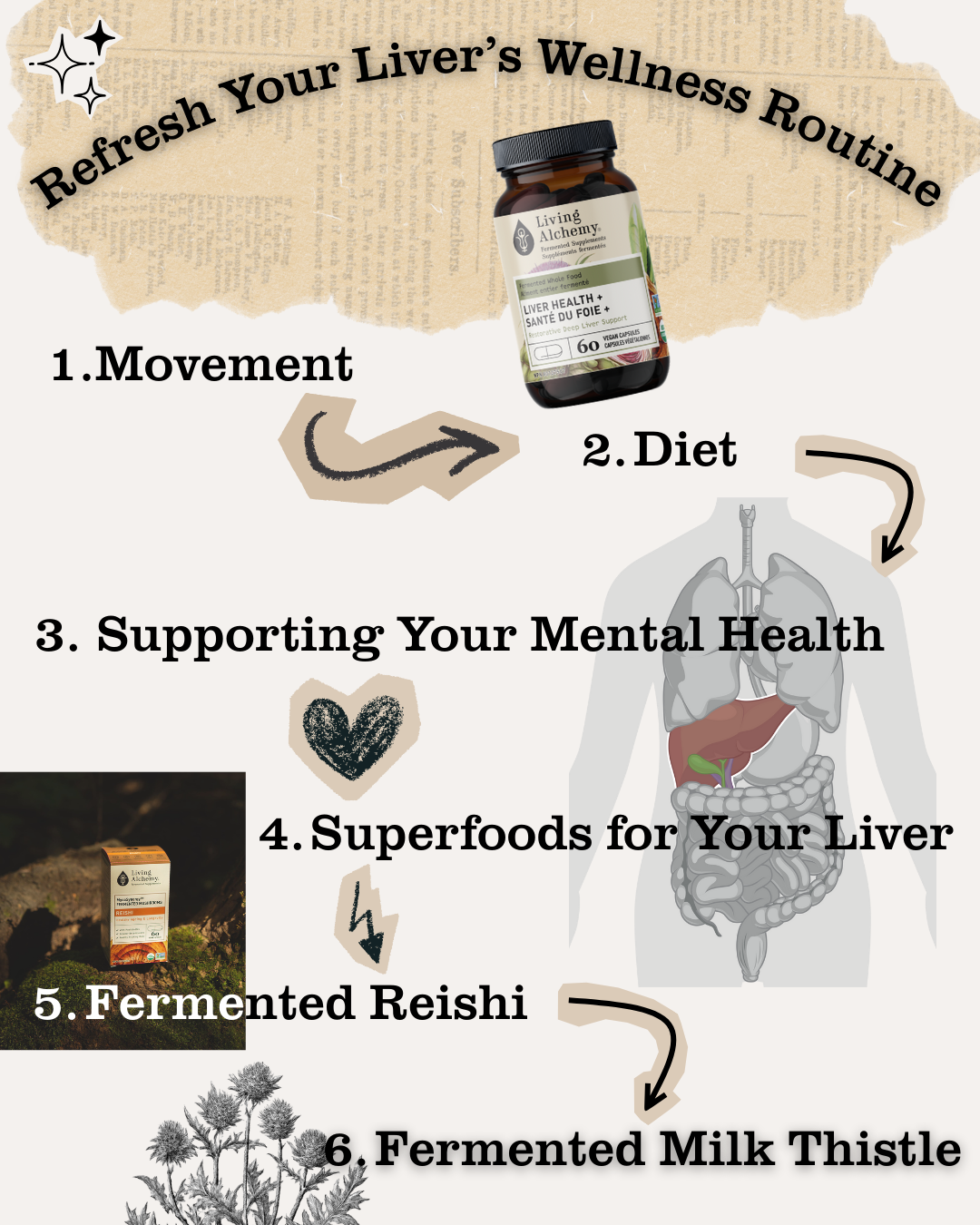 Your Liver &amp; the Chinese Body Clock: Supporting Energy and Flow