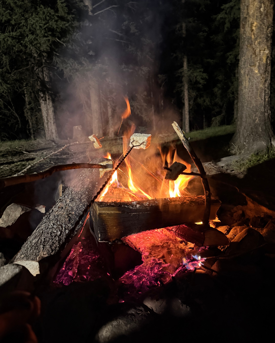 Marshmellow Blog (3).png