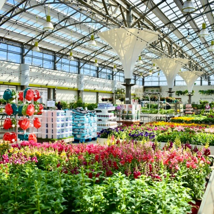 A bright greenhouse filled with colorful flowering plants and gardening supplies, including watering cans, seed packets, and potted plants.