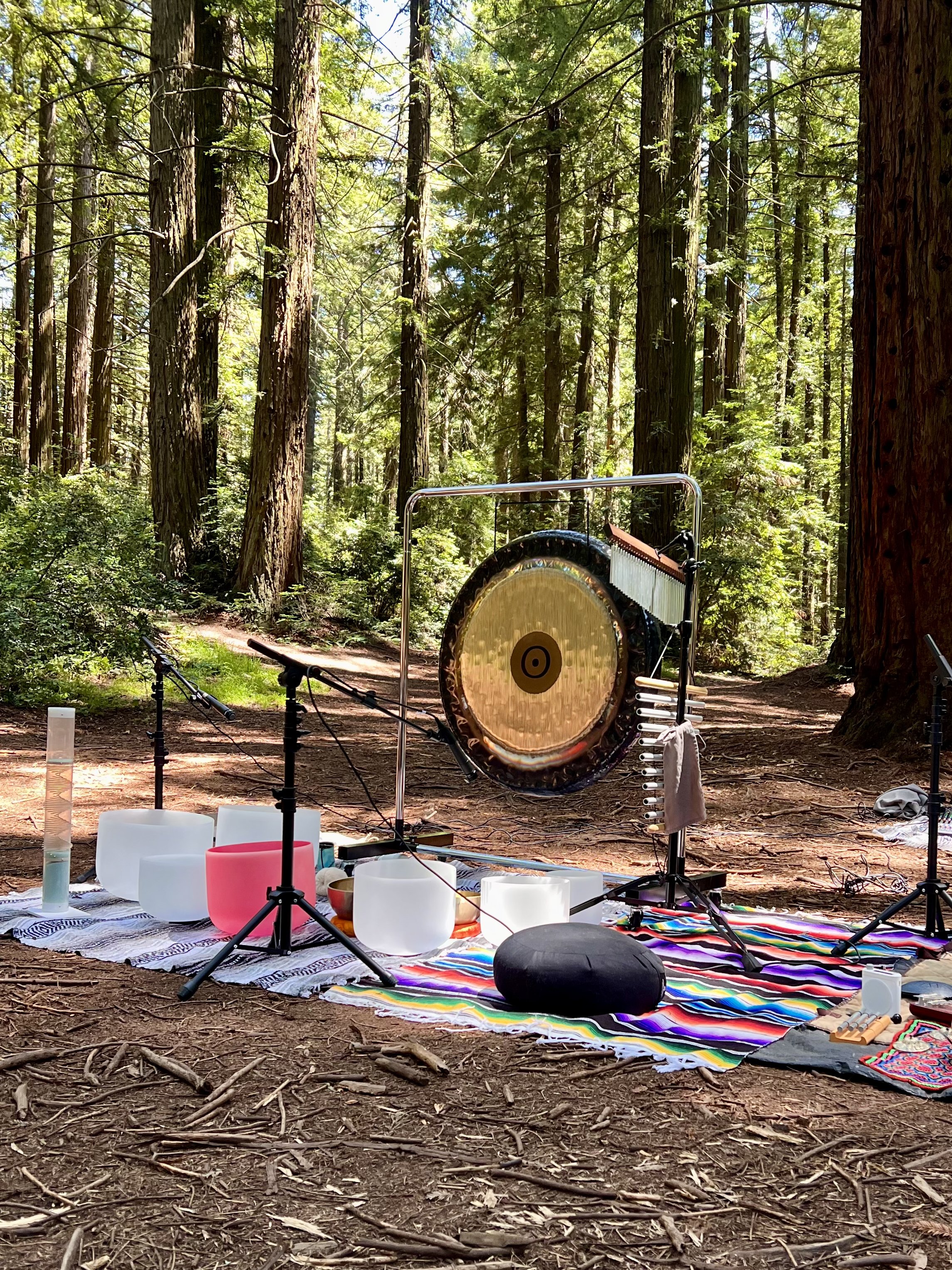A woman is holding a black and gold Tibetan singing bowl with religious symbols and scripts on it, sitting outdoors among trees.
