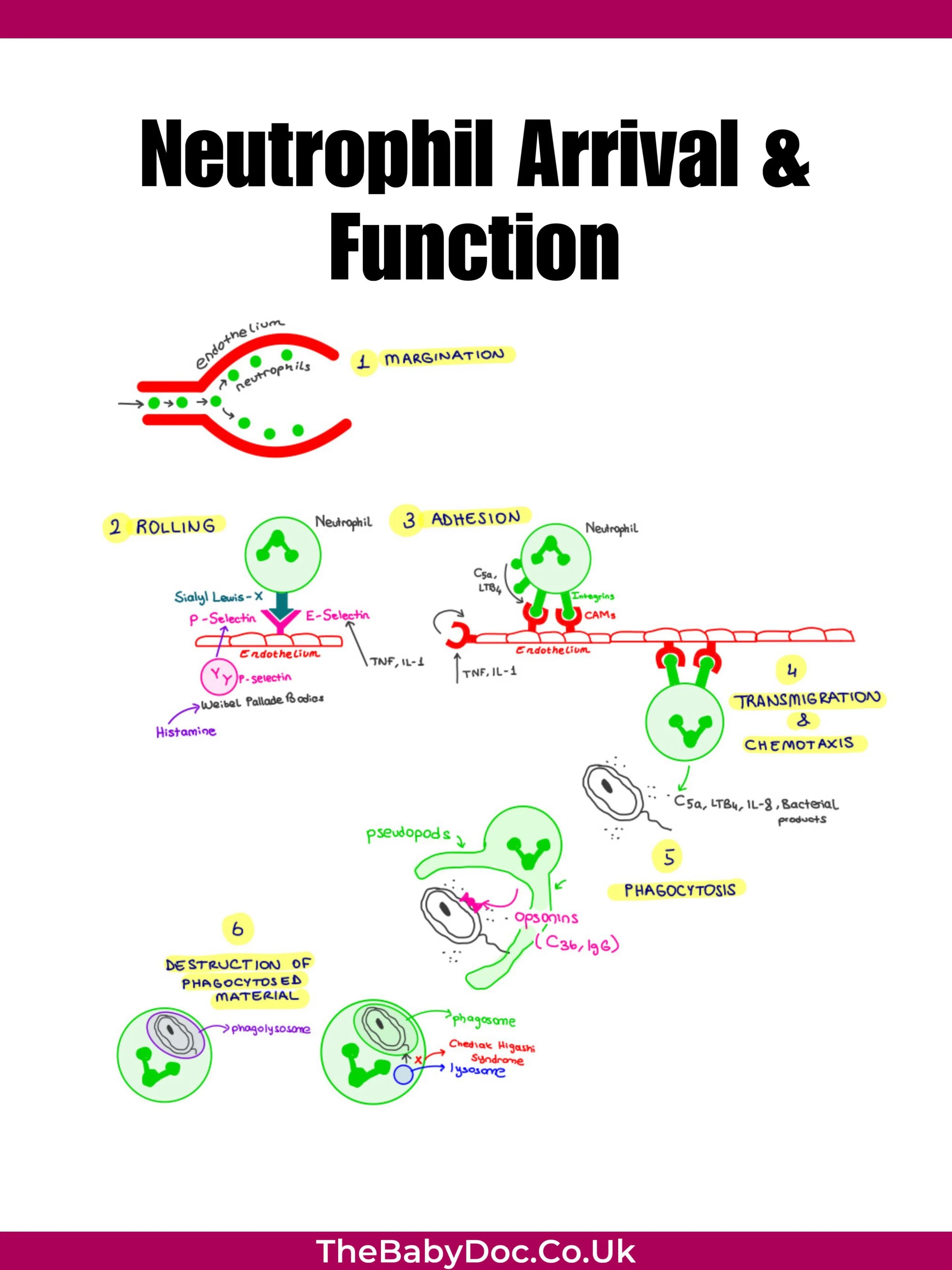 WhatsApp Görsel 2025-05-26 saat 12.04.19_6799efe3.jpg