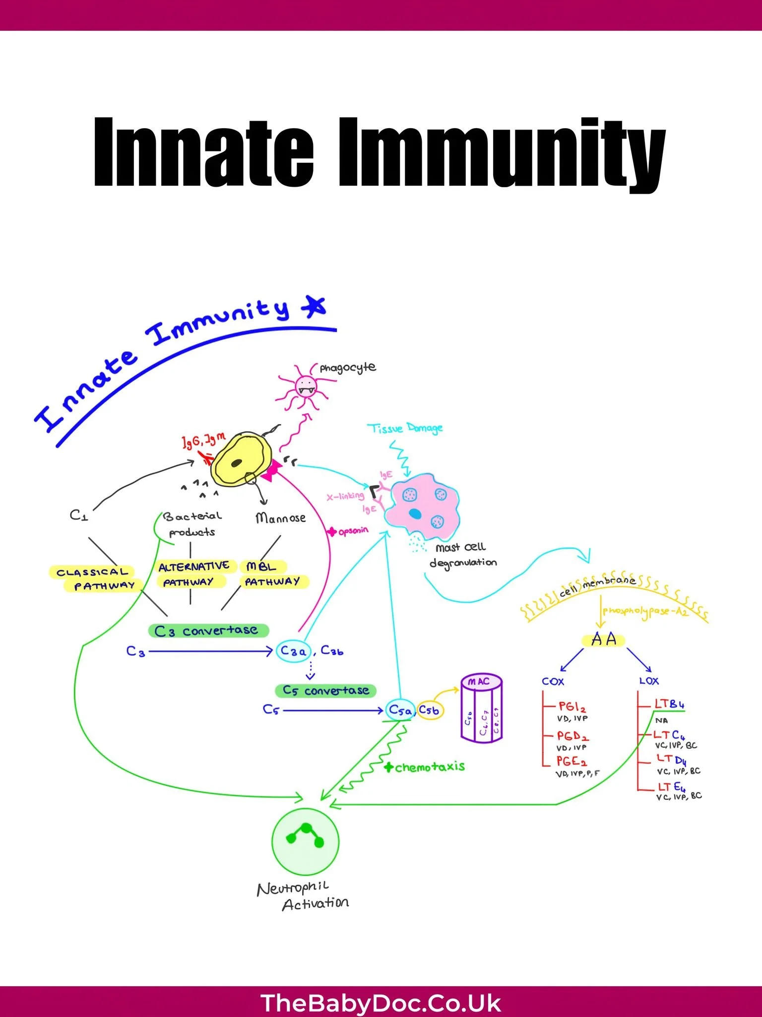 WhatsApp Görsel 2025-05-27 saat 17.37.49_3866ff49.jpg
