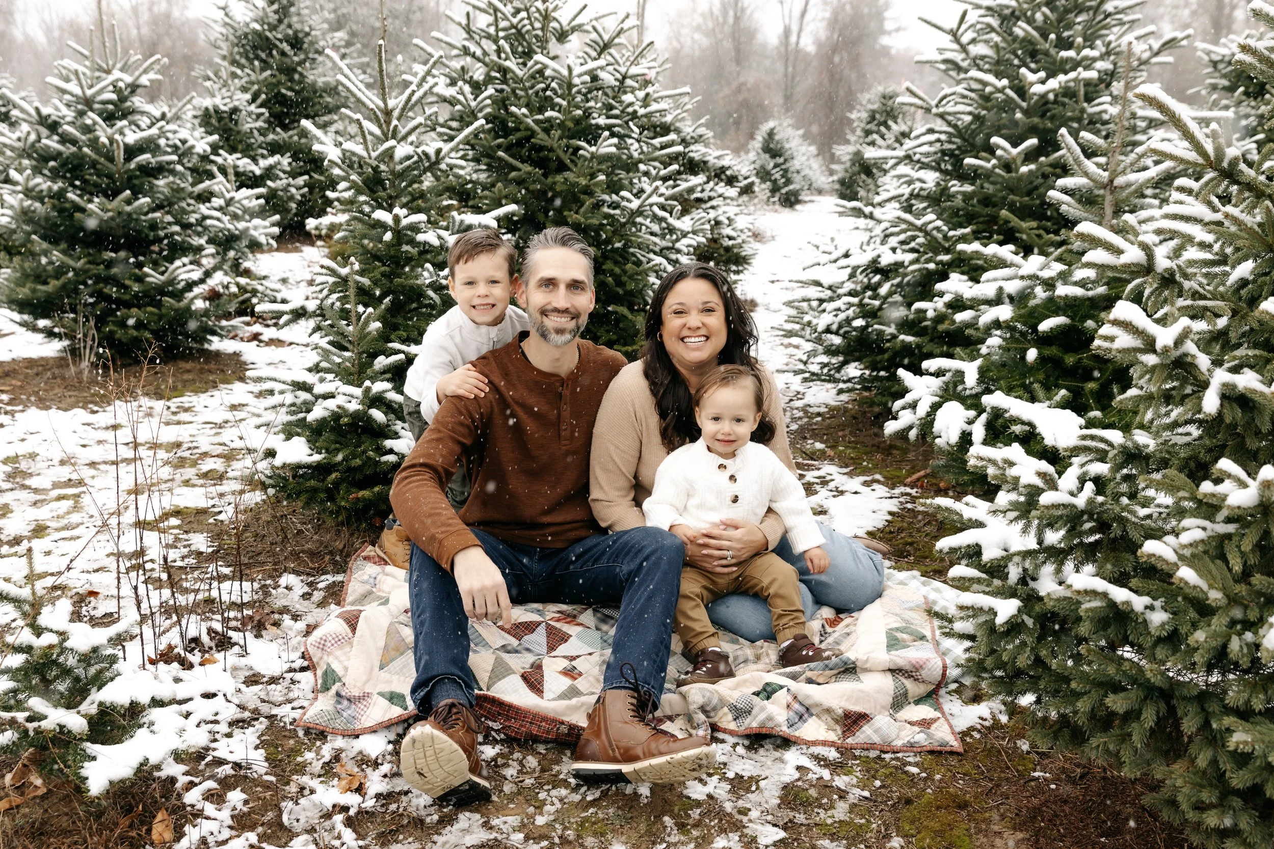 treefarm25-39.jpg